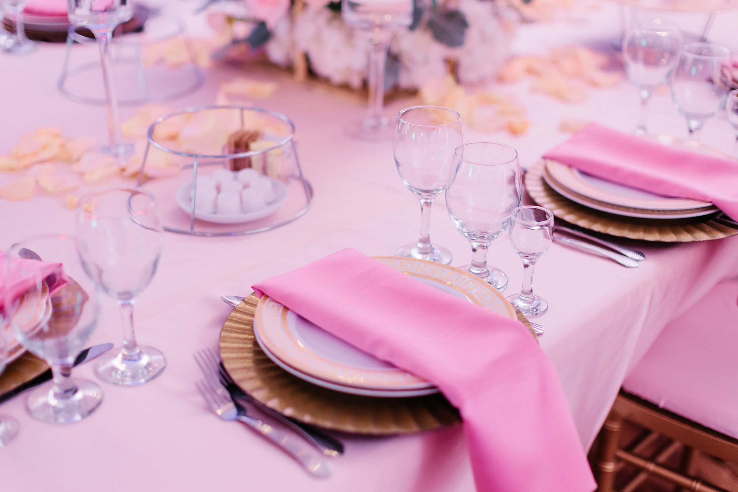 06.11.2022 Anniversary Party. Wedding family event photographer in Chicago Nick Yushevich