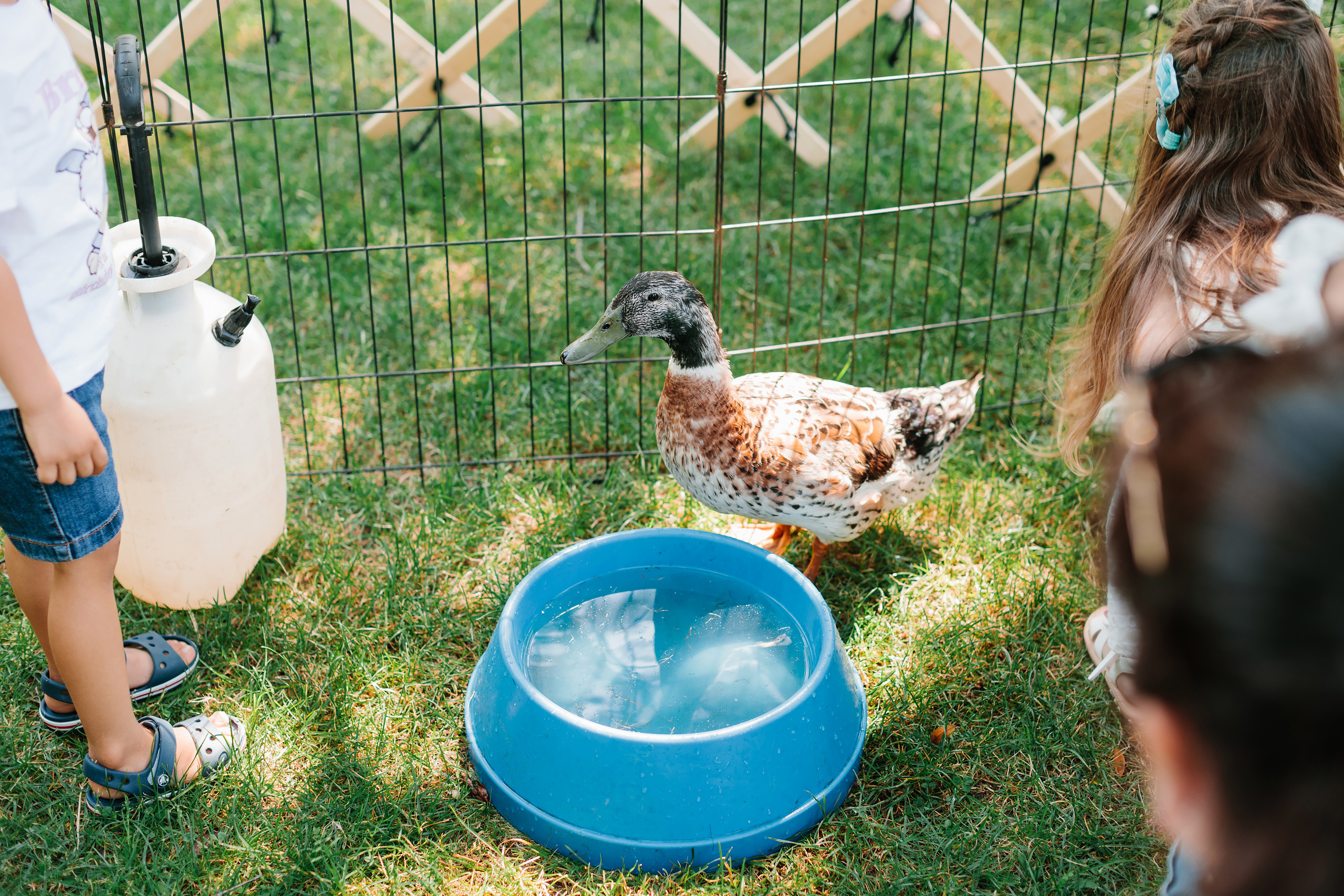 07.23.2022 First birthday. Wedding family event photographer in Chicago Nick Yushevich