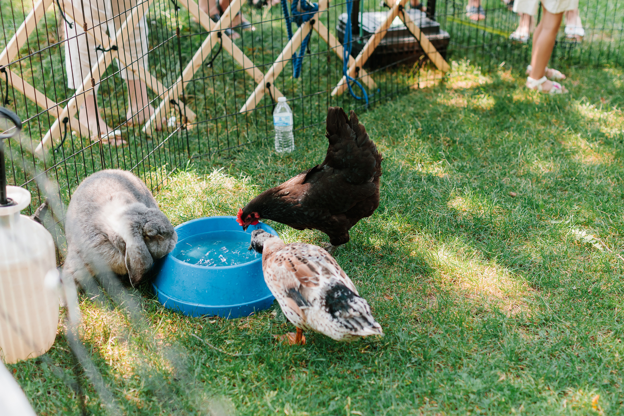 07.23.2022 First birthday. Wedding family event photographer in Chicago Nick Yushevich