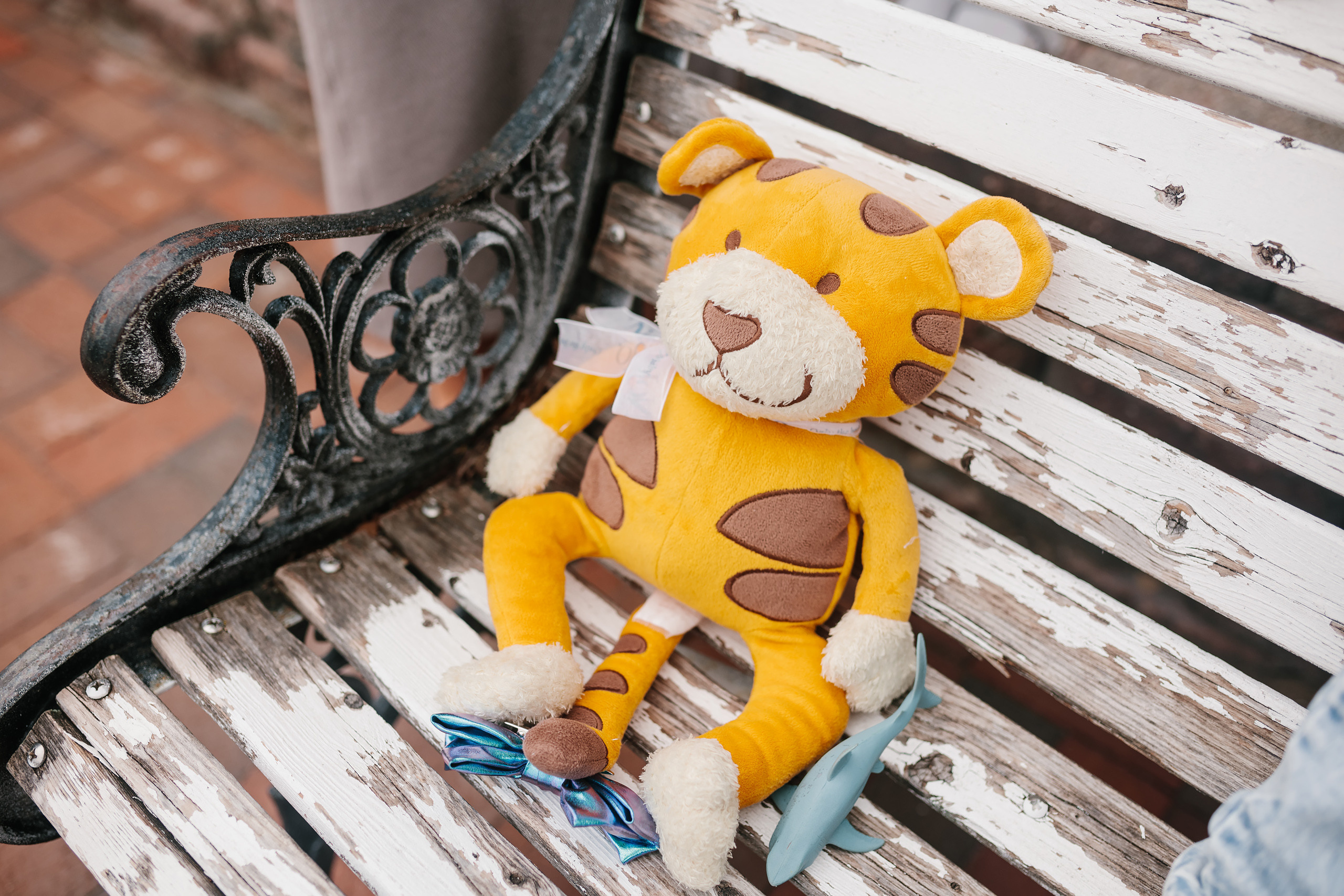 04122022 Family Photoshoot. Wedding family event photographer in Chicago Nick Yushevich