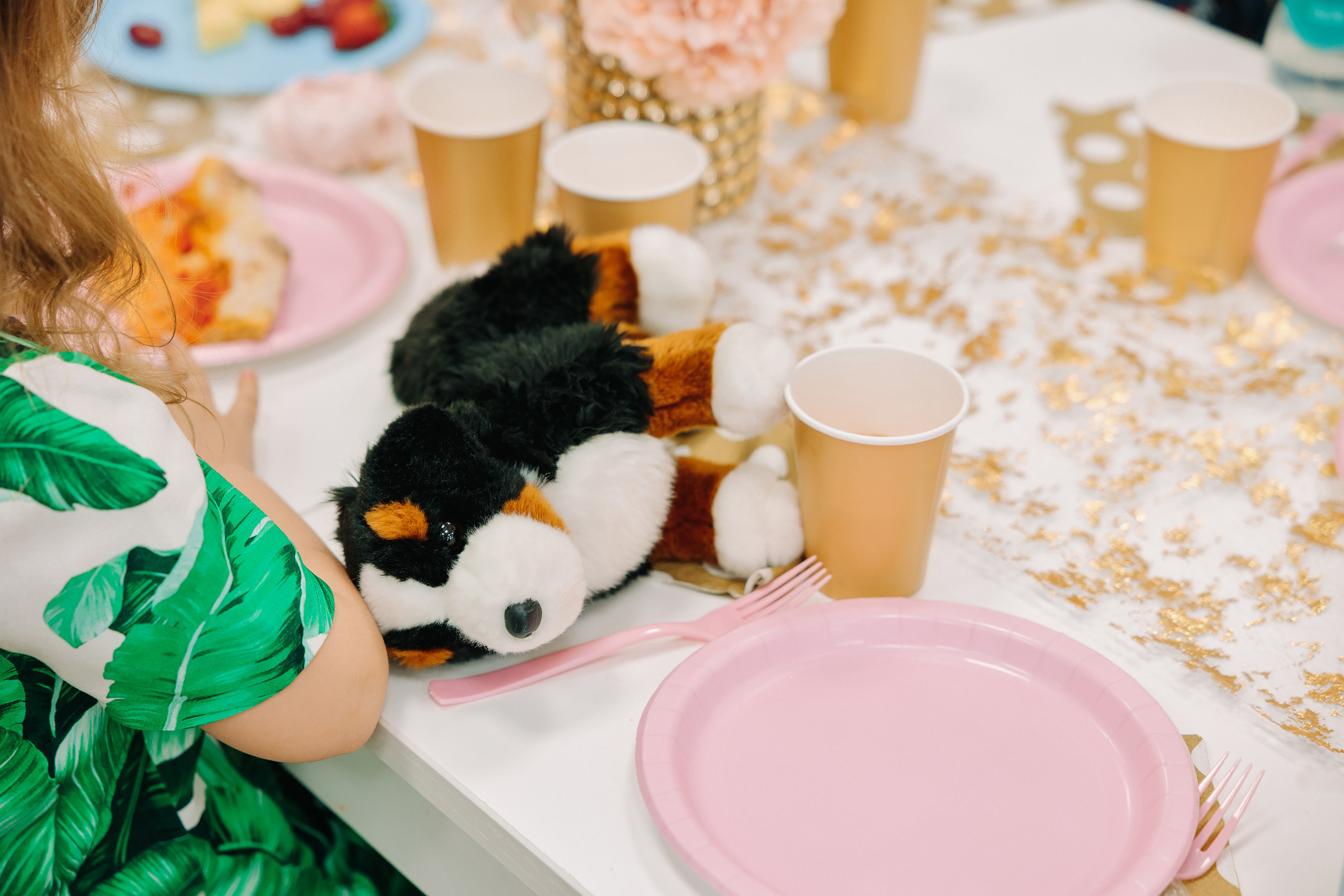 05.08.2022 First birthday. Wedding family event photographer in Chicago Nick Yushevich