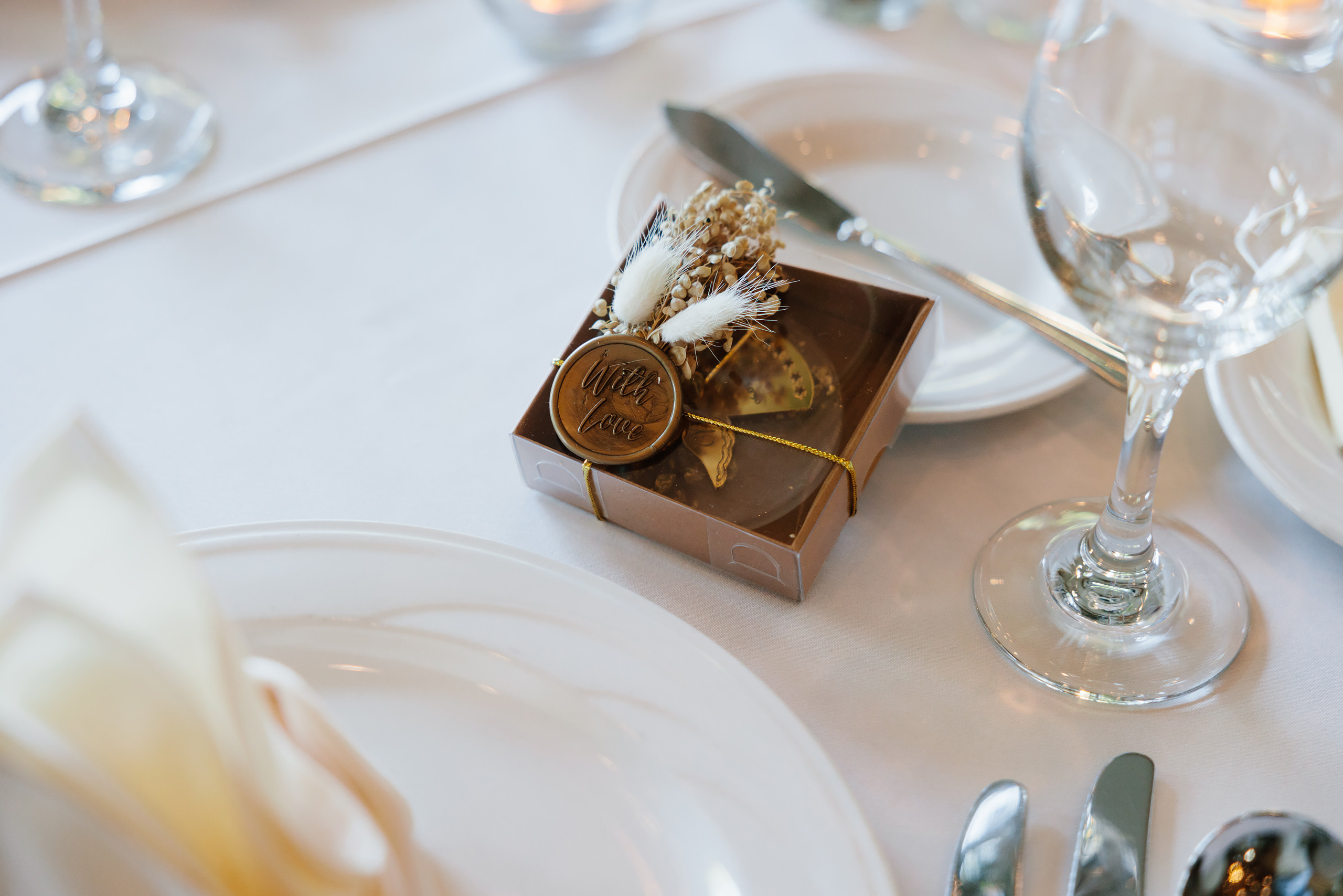 03.06.22 Christening Party. Wedding family event photographer in Chicago Nick Yushevich