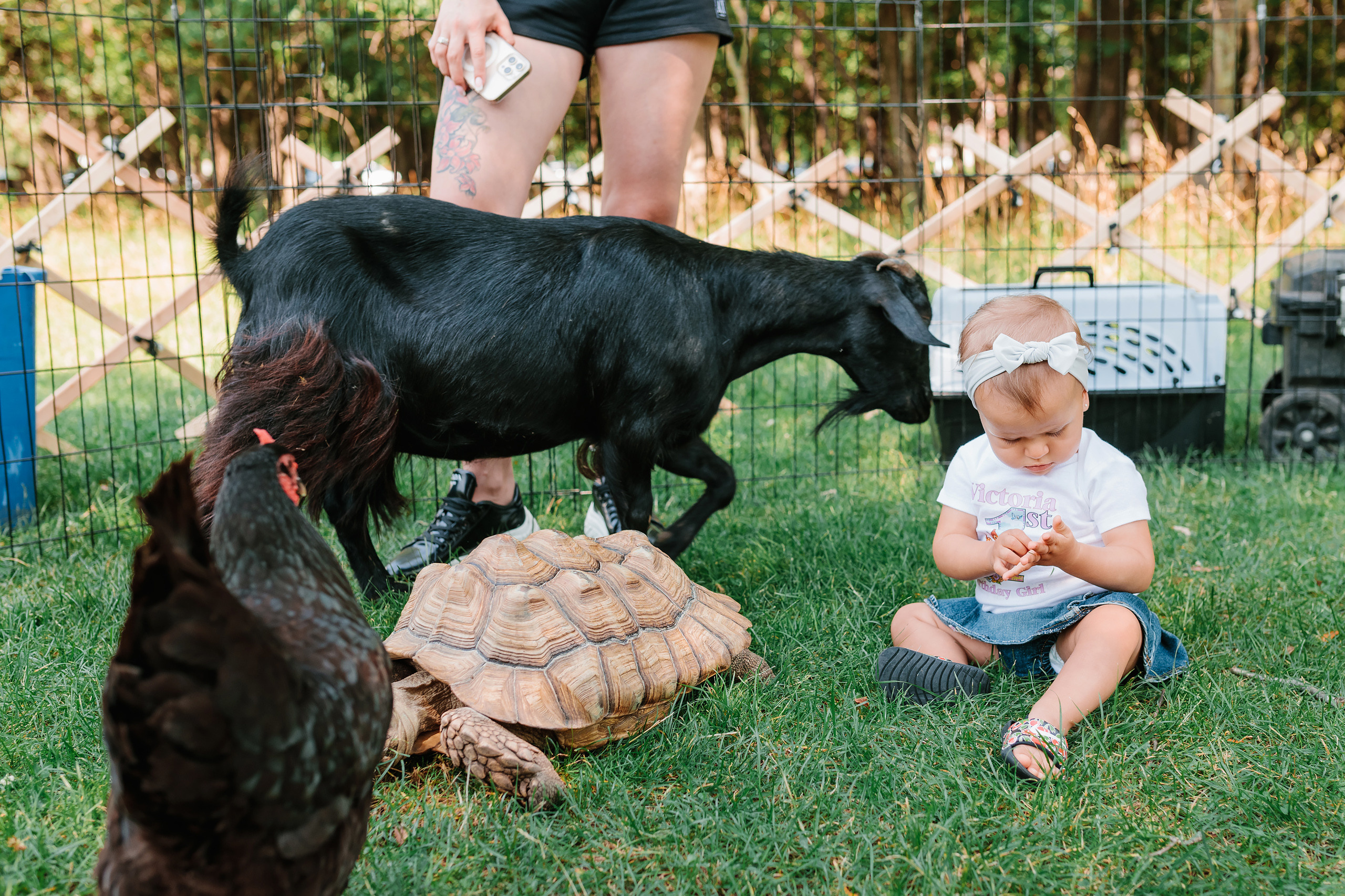 07.23.2022 First birthday. Wedding family event photographer in Chicago Nick Yushevich