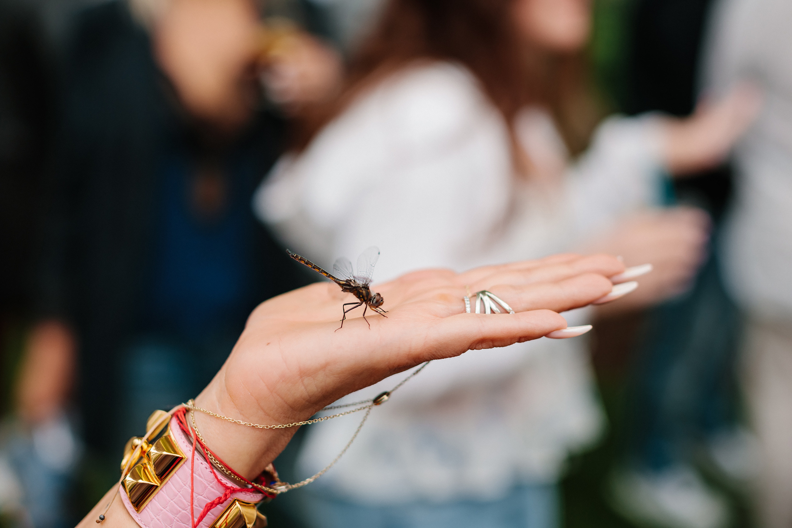 06.04.22 Graduation Party. Wedding family event photographer in Chicago Nick Yushevich