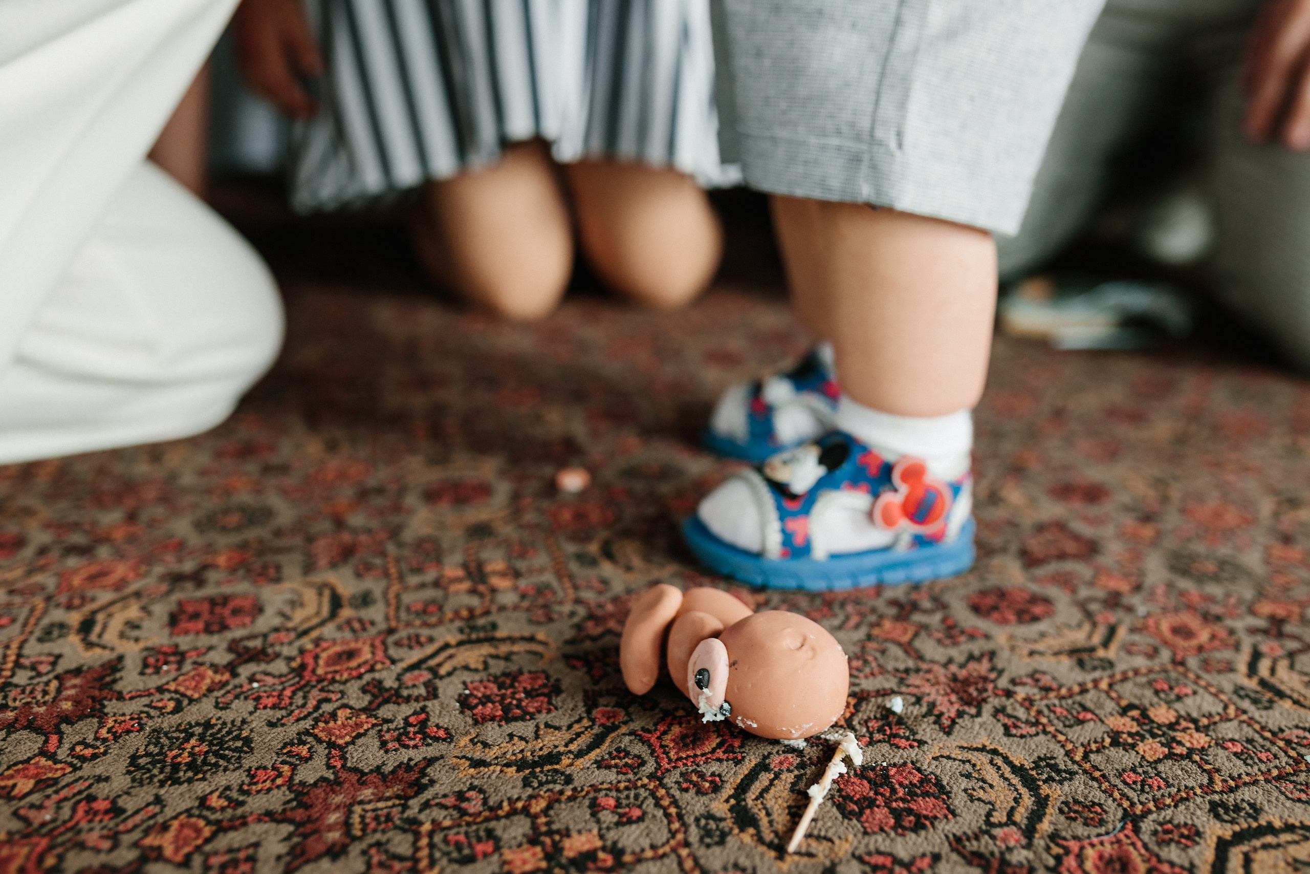 06.11.2022 First birthday. Wedding family event photographer in Chicago Nick Yushevich