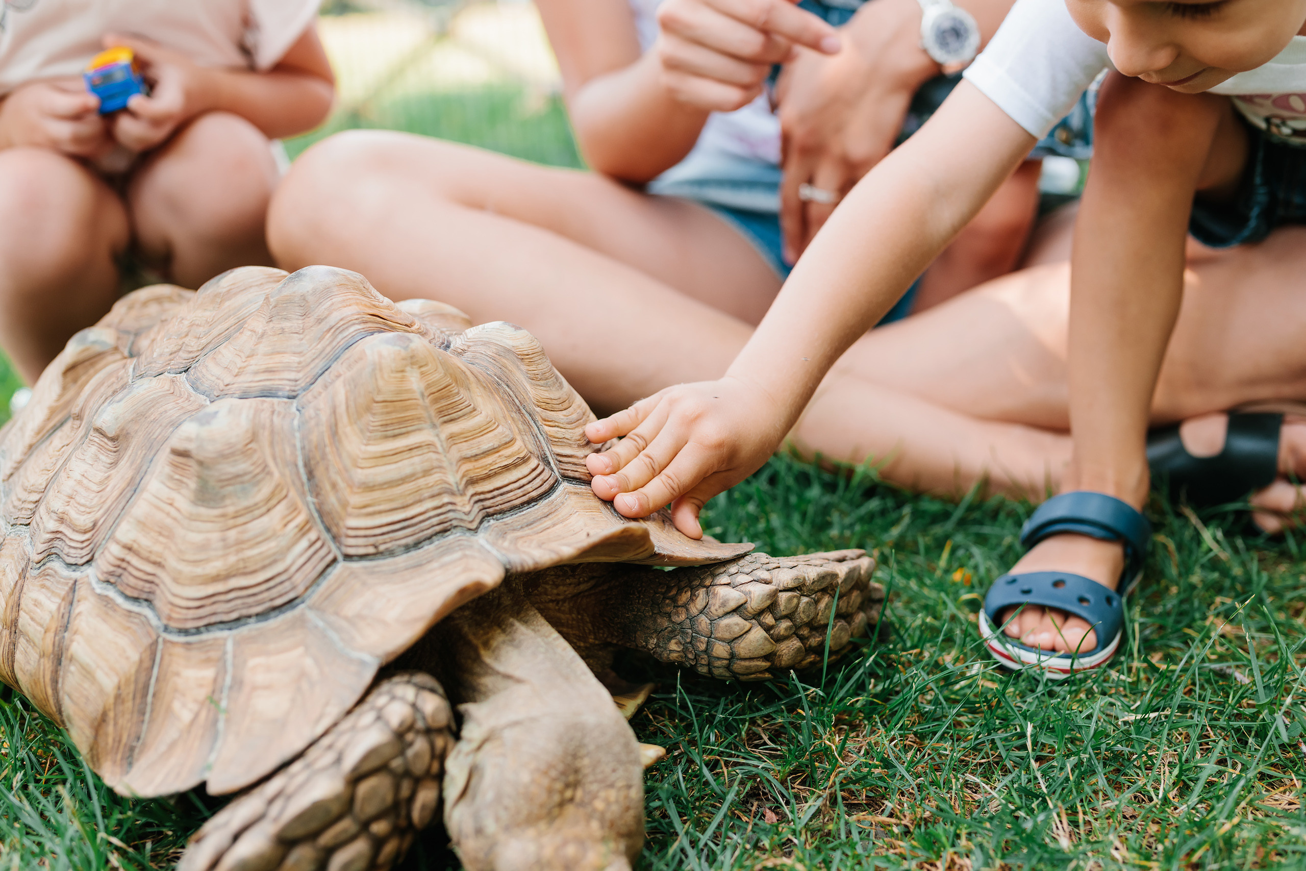 07.23.2022 First birthday. Wedding family event photographer in Chicago Nick Yushevich