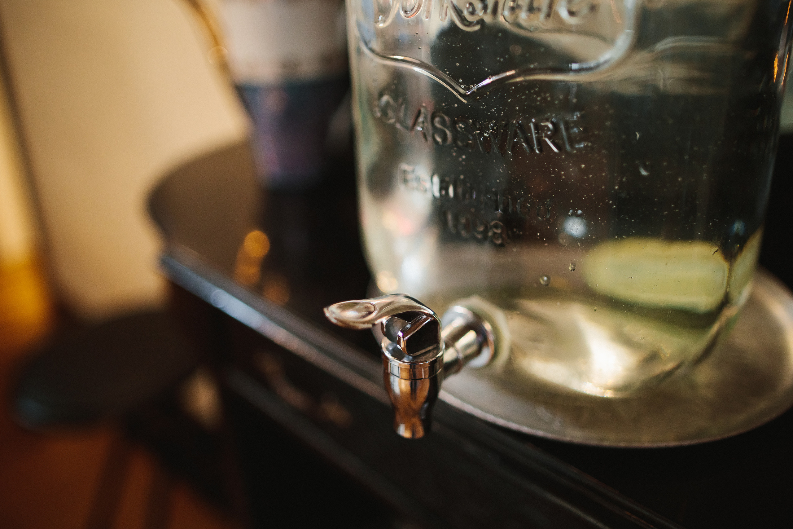 Vasilii & Samantha 04.30.2022. Wedding family event photographer in Chicago Nick Yushevich