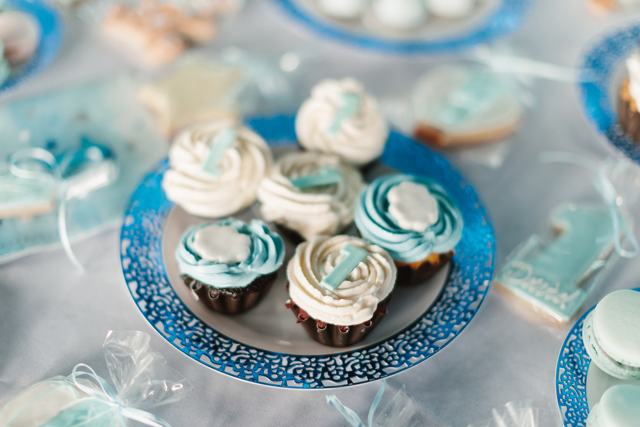 06.11.2022 First birthday. Wedding family event photographer in Chicago Nick Yushevich