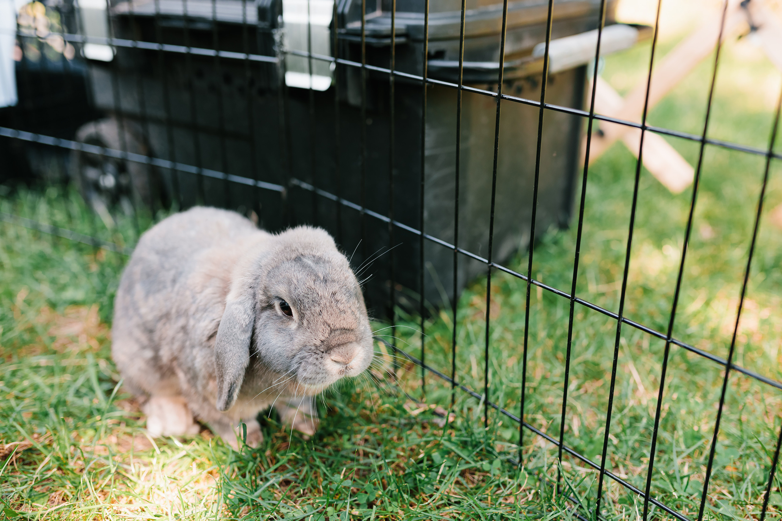 07.23.2022 First birthday. Wedding family event photographer in Chicago Nick Yushevich