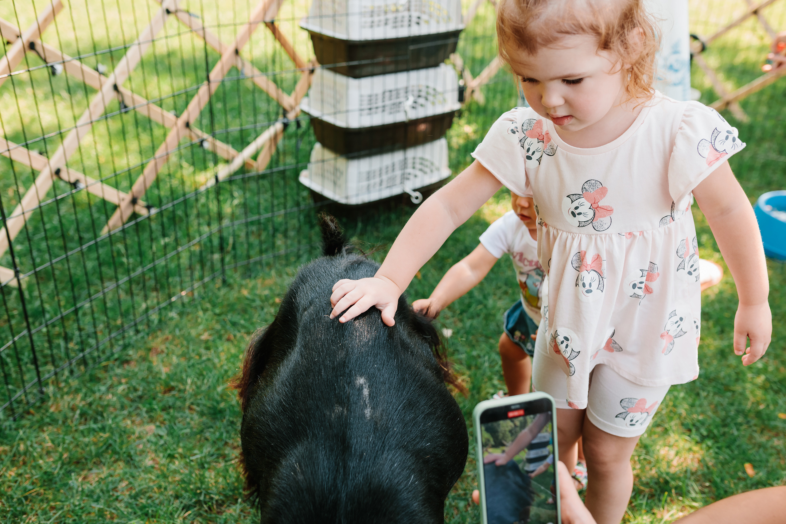 07.23.2022 First birthday. Wedding family event photographer in Chicago Nick Yushevich
