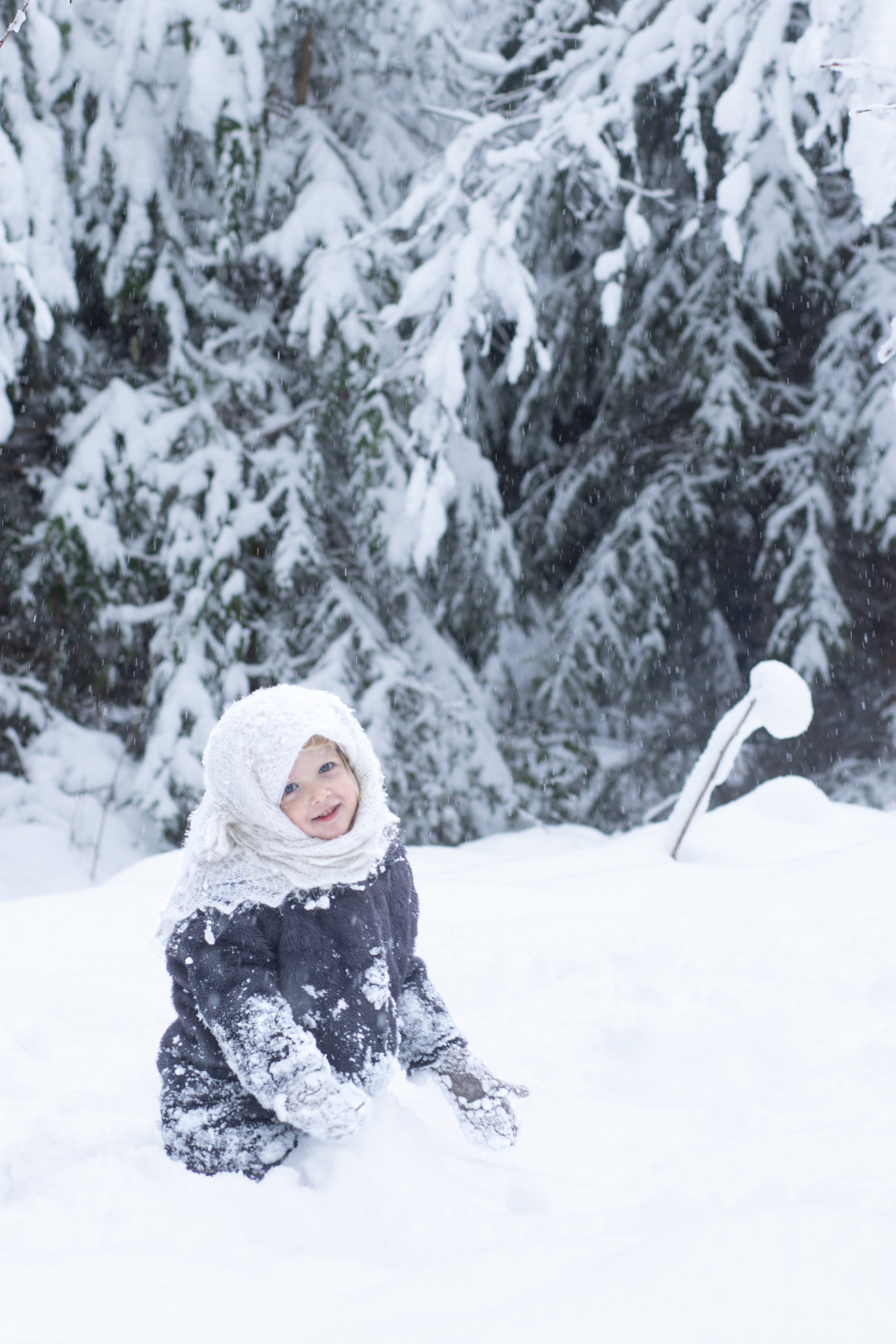 Ein Weihnachtsmärchen. Olena Fritz Fotografie
