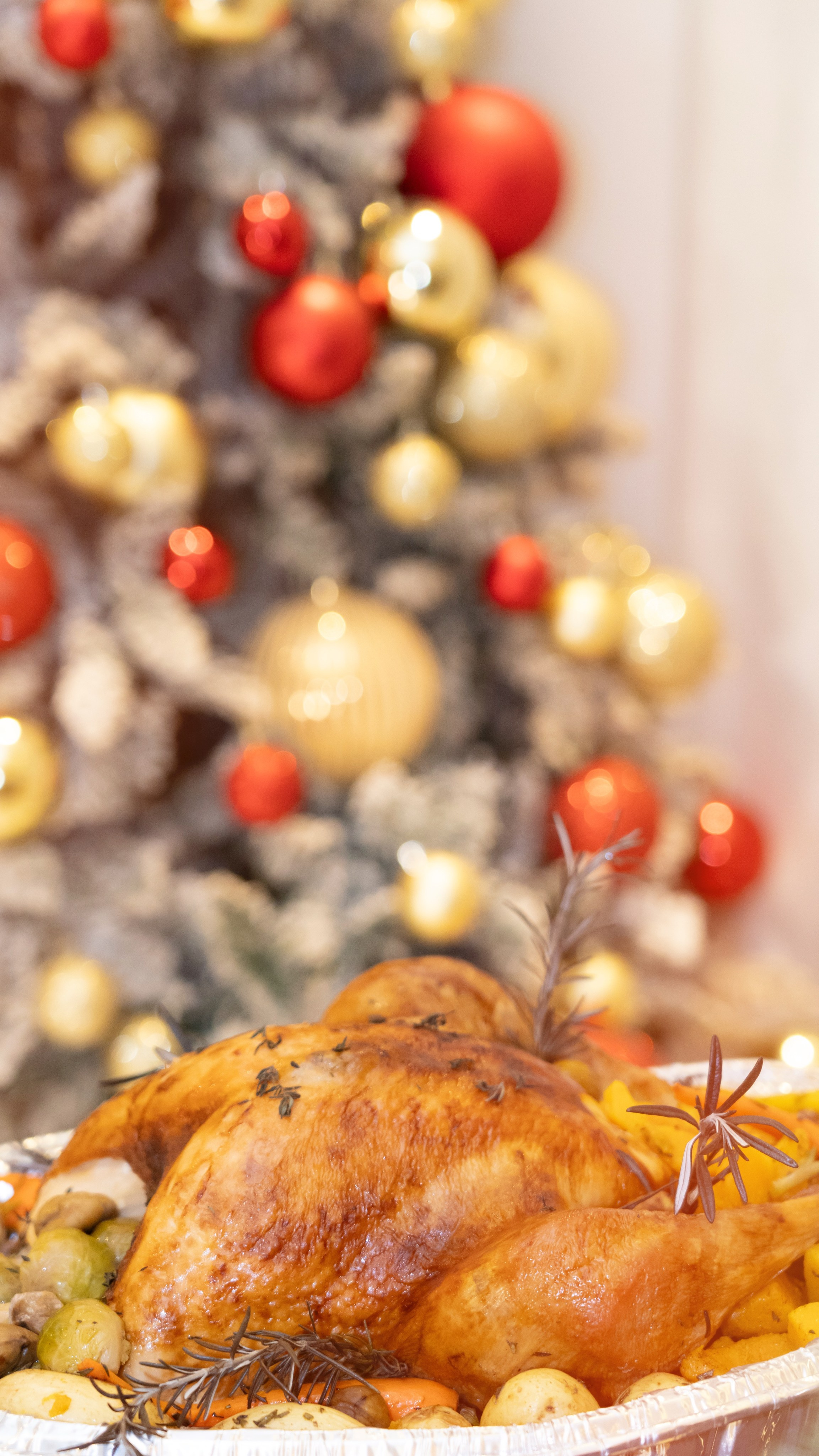 Timeless Holiday Memories. Photography | Videography | Marketing