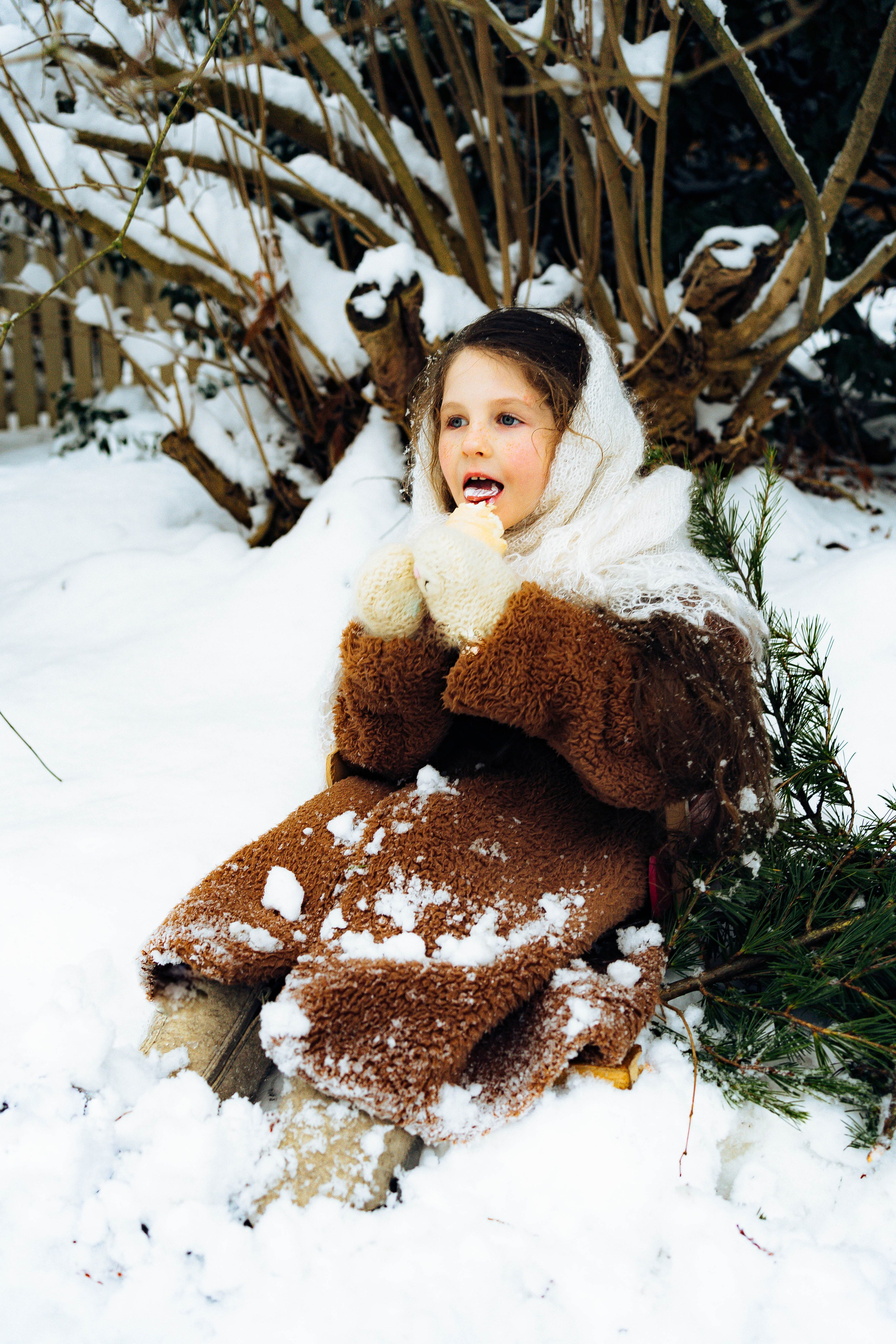 Snow in Vancouver. Main