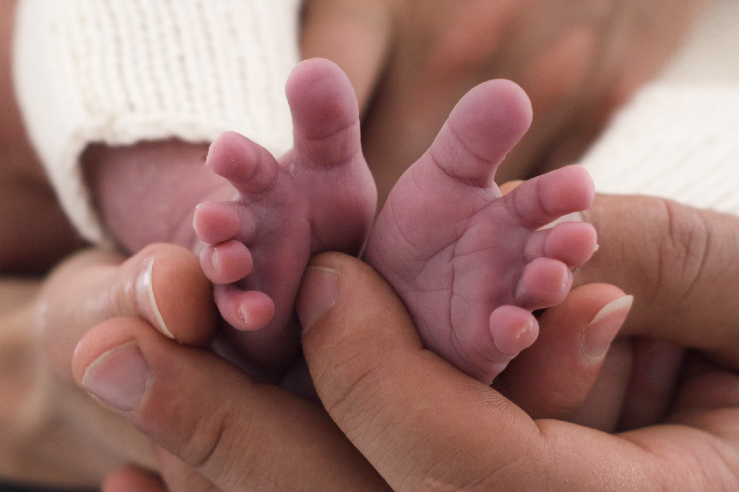 Photographie des pieds de bébé avec parents