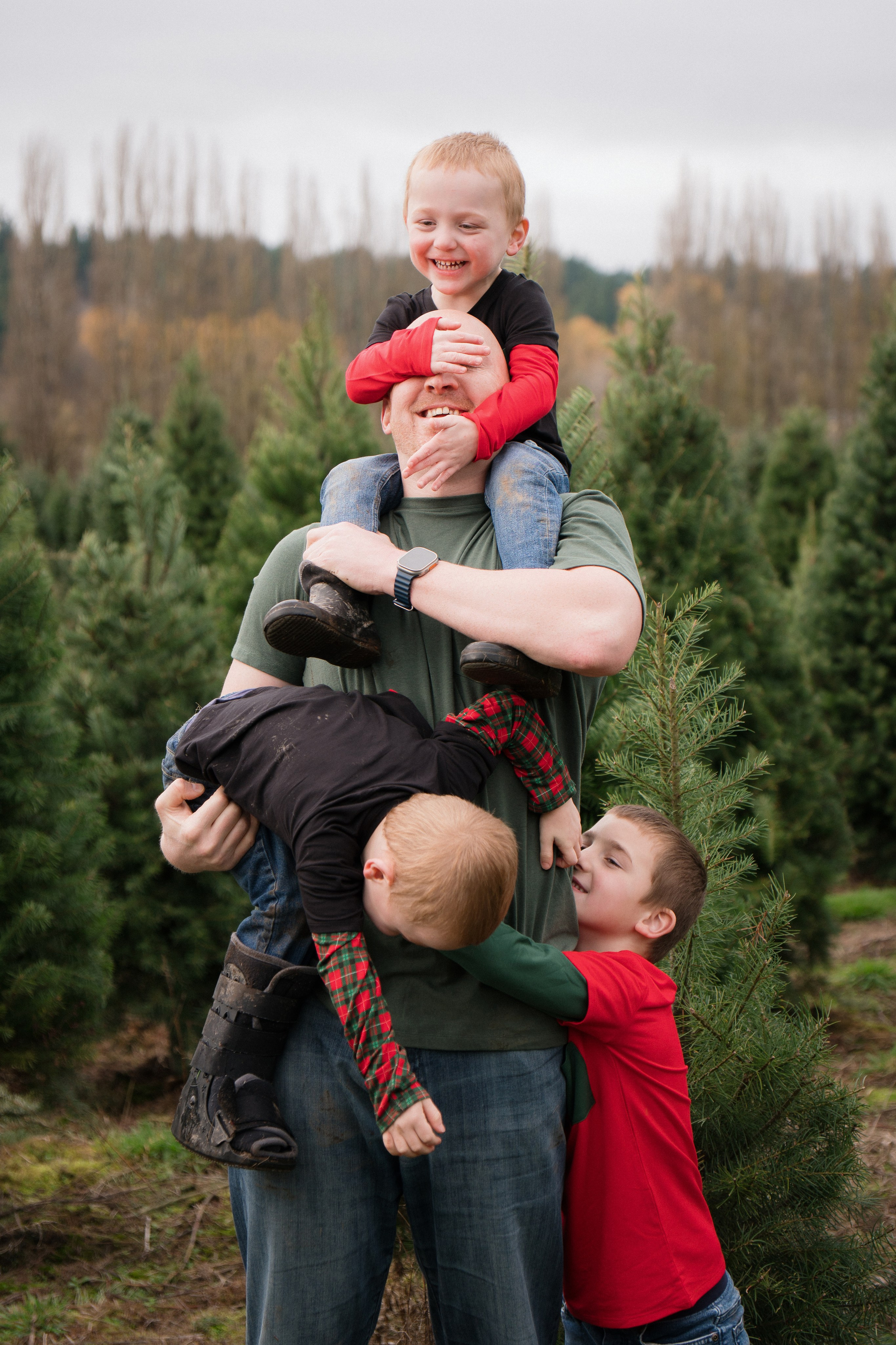 Christmas sessions. Photographer in Washington Sophia D