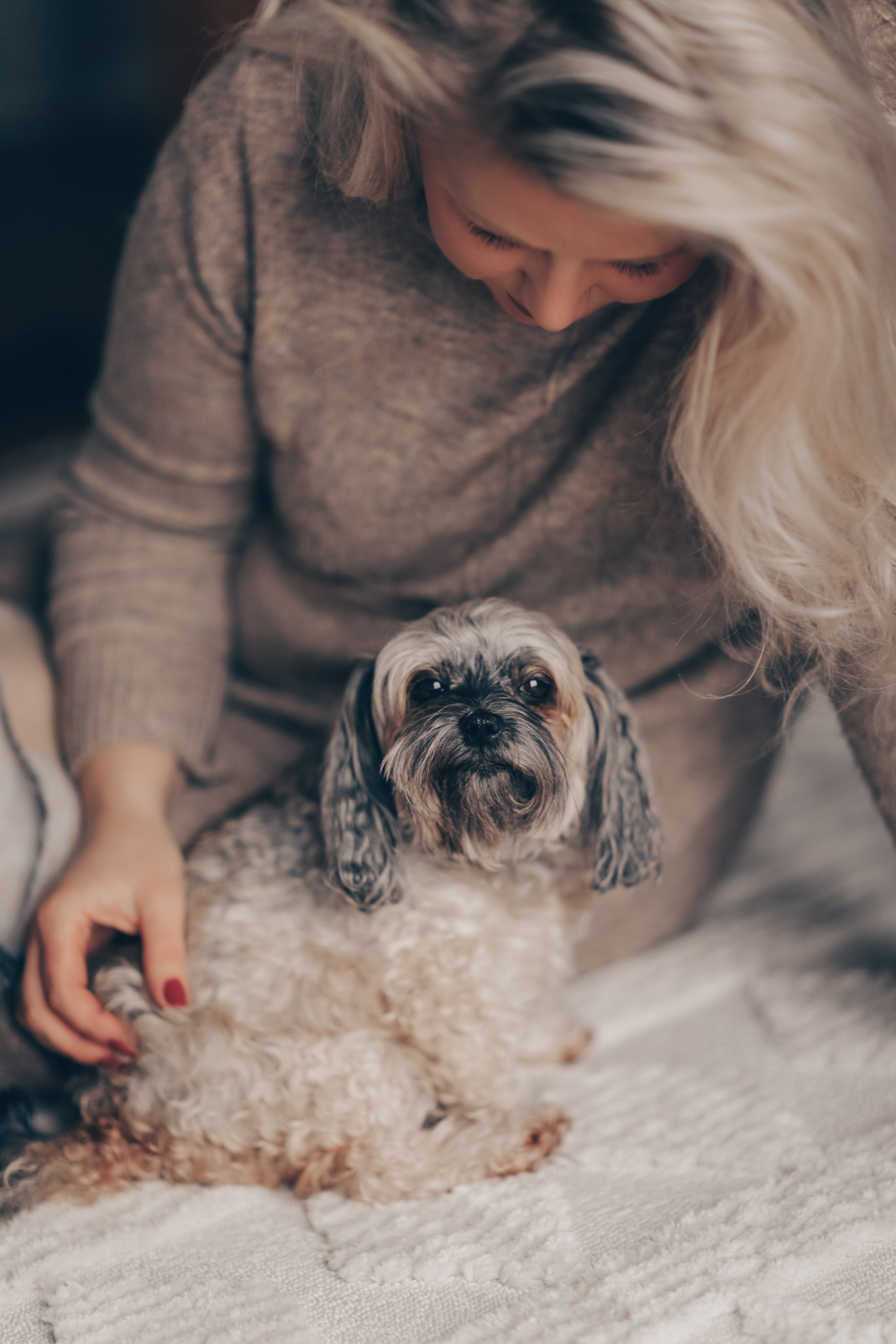 Haustiere. Neugeborenen, Familien, Geschwister Fotografin aus Delmenhorst