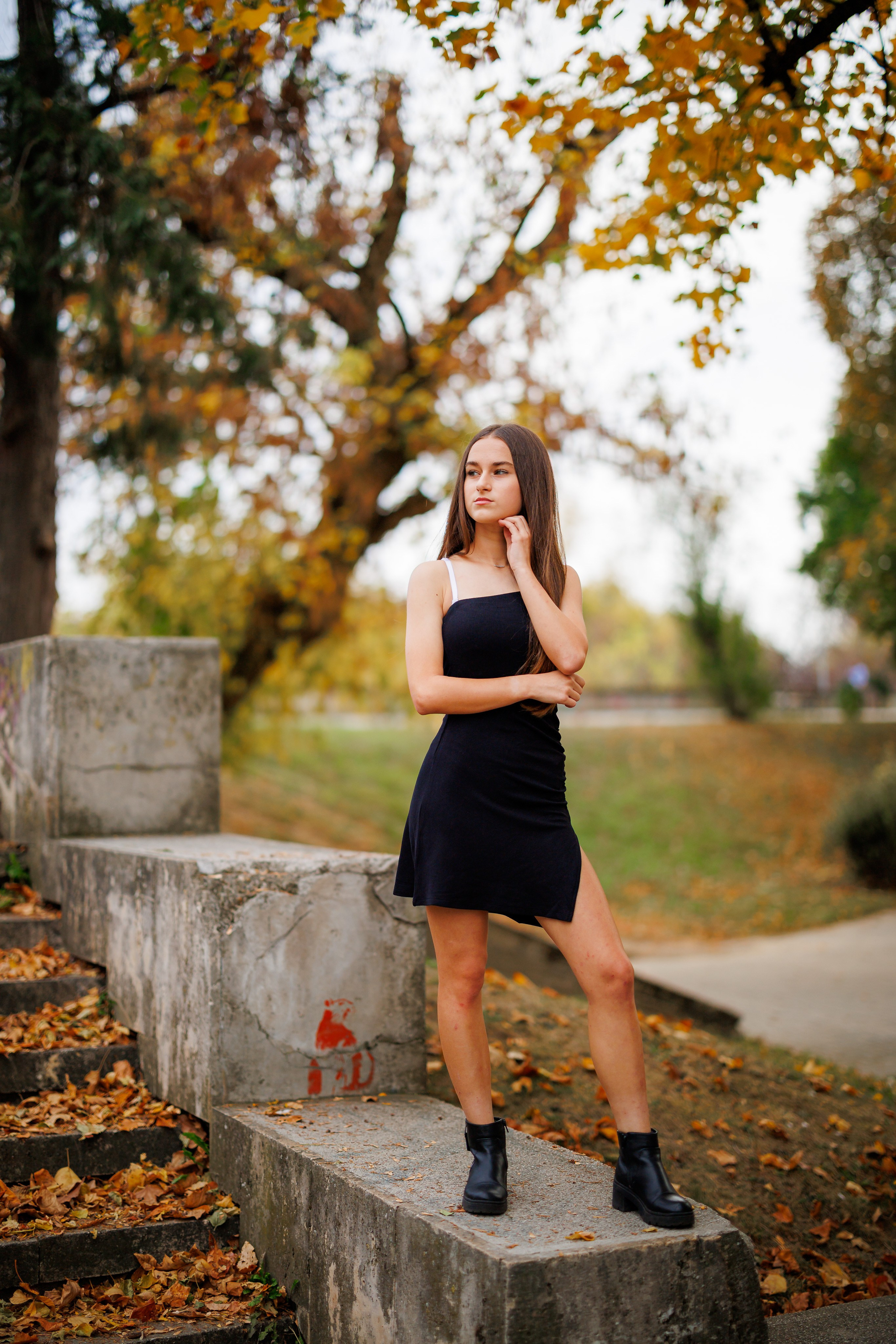 Clasa 8-a. Trendy Albums