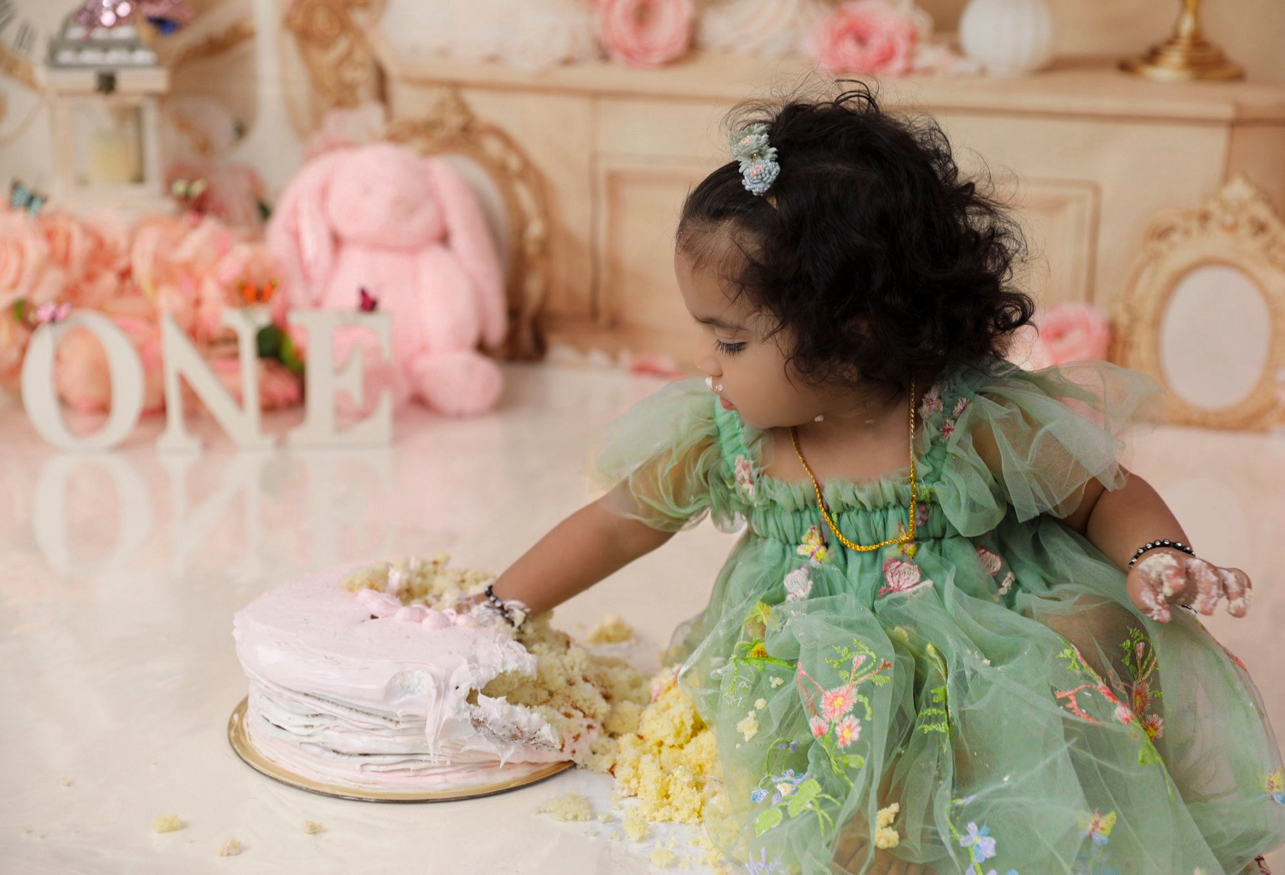 Cakesmash. AP Lens Photography | Newborn, Maternity, Milestone & Family Photographer Little Elm TX