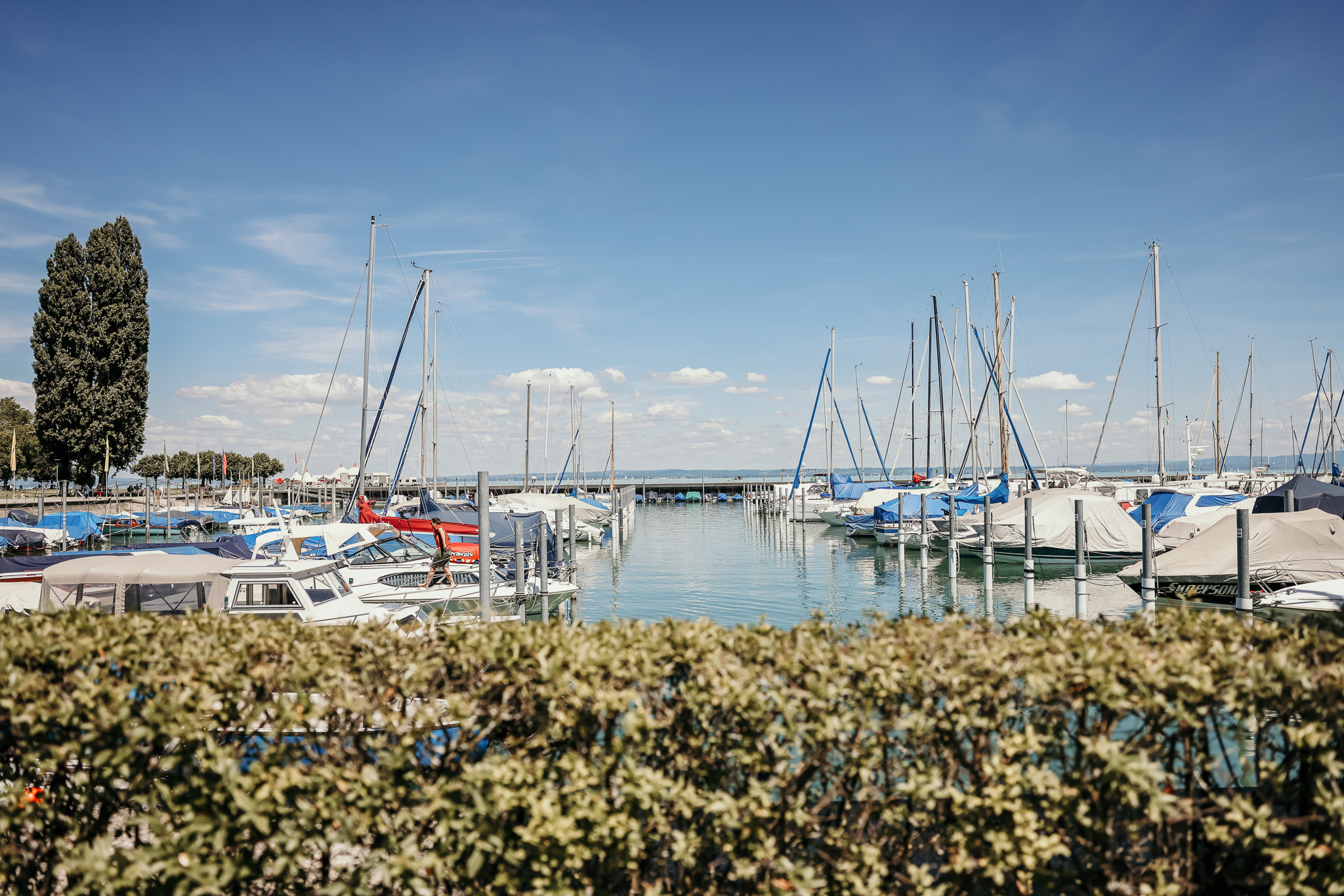 Hafen von Arbon mit vielen Schiffen bei schönem Wetter