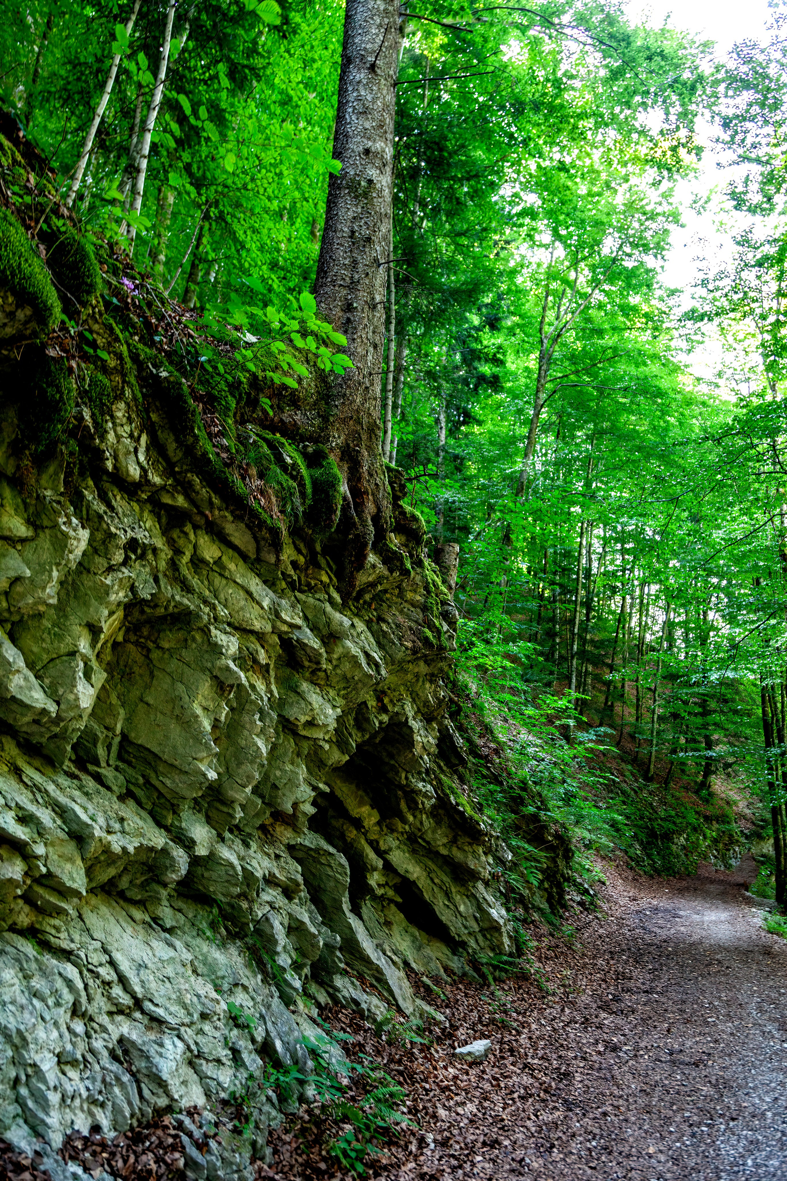 195.Nothklamm.Austria.20.8.2025. Путешествия в формате 360......
