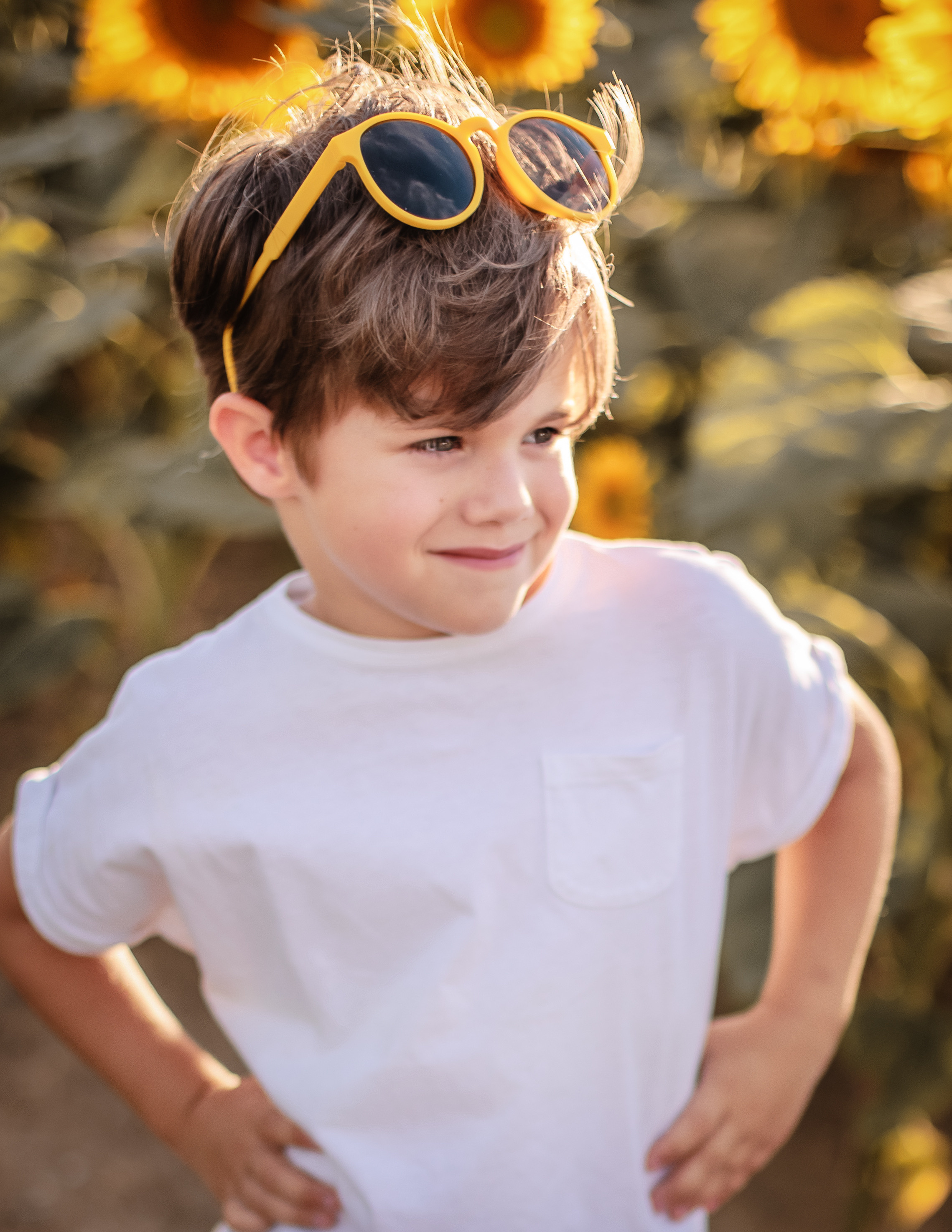 Luka (Prangins Switzerland). Home