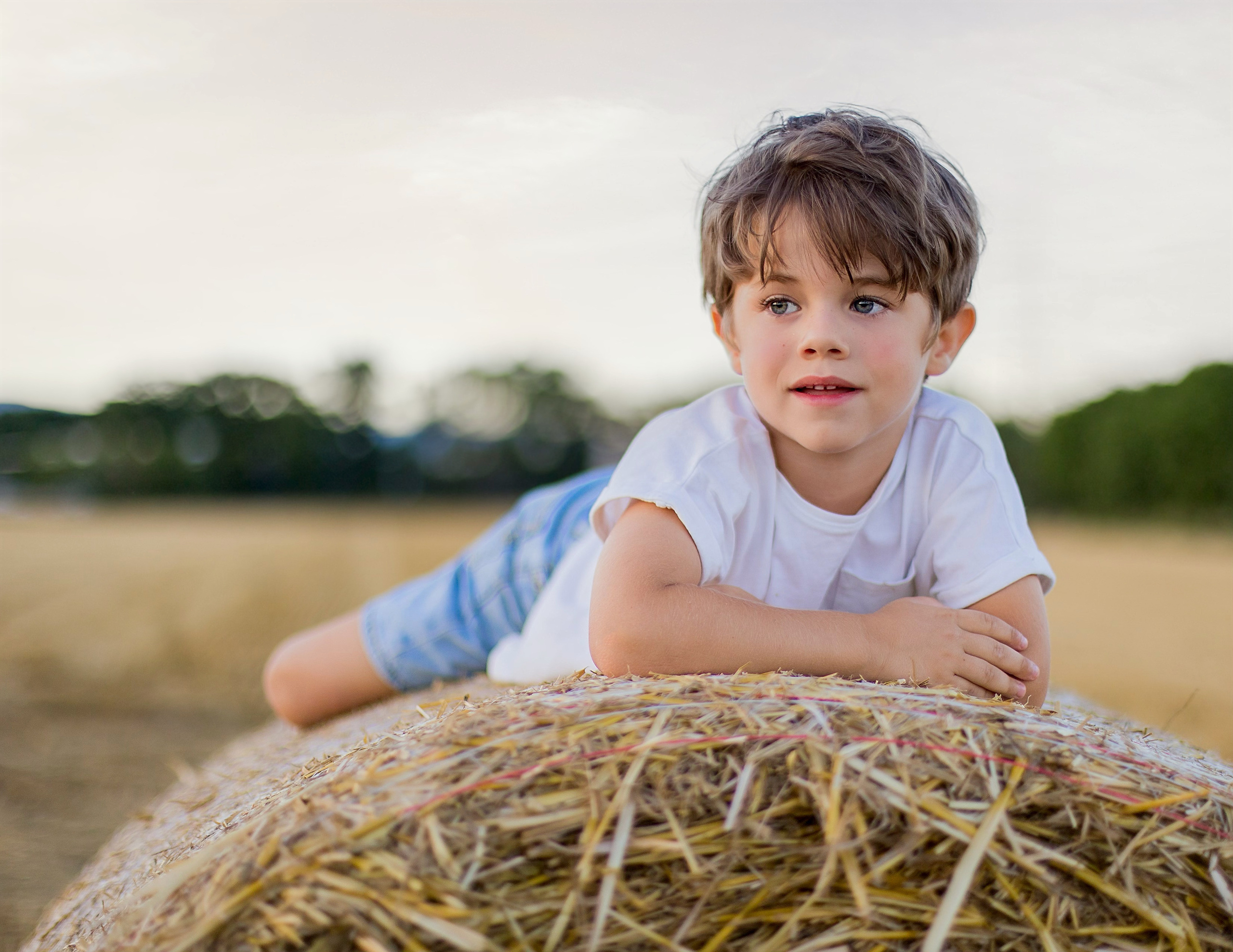 Luka (Prangins Switzerland). Home