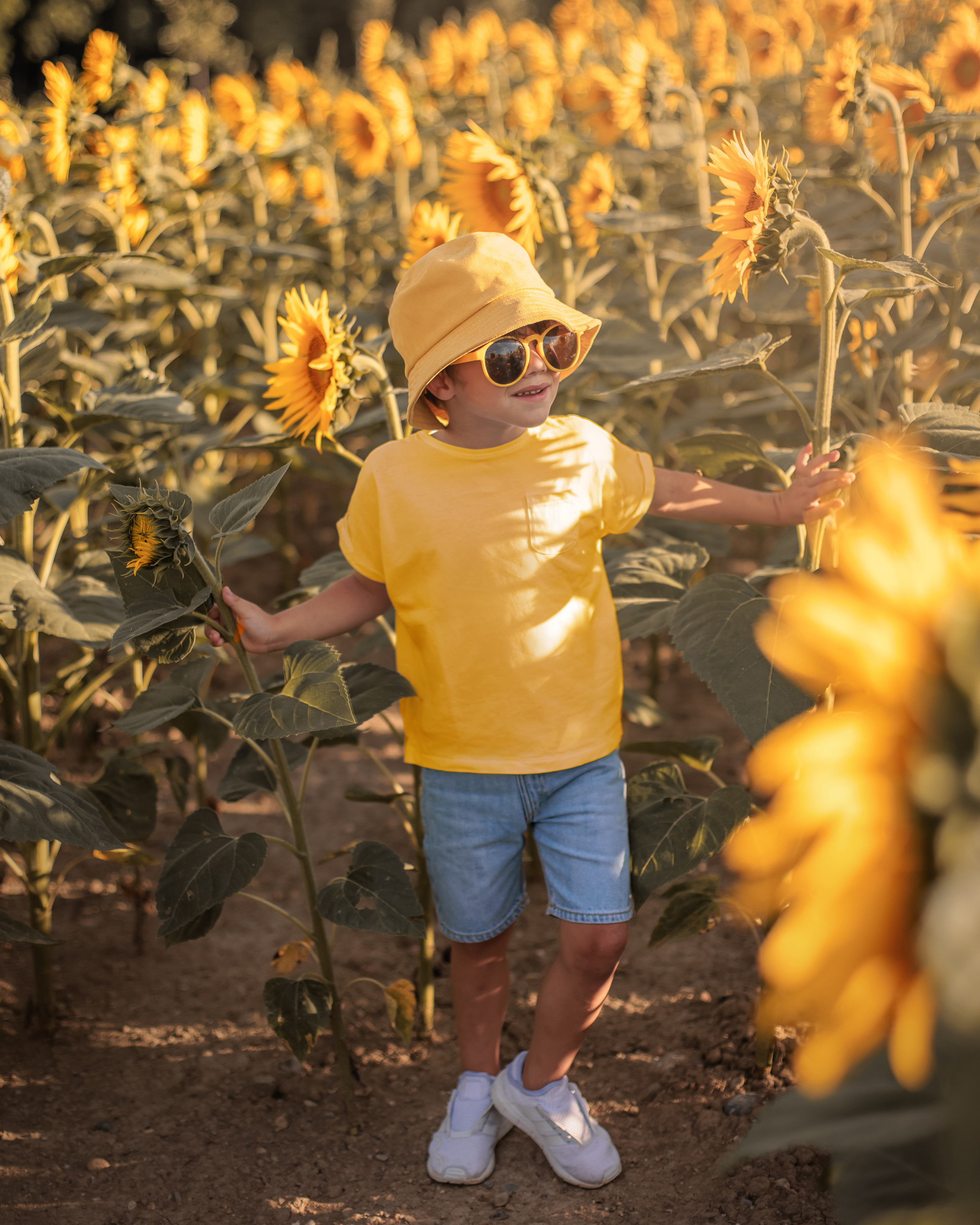 Luka (Prangins Switzerland). Home