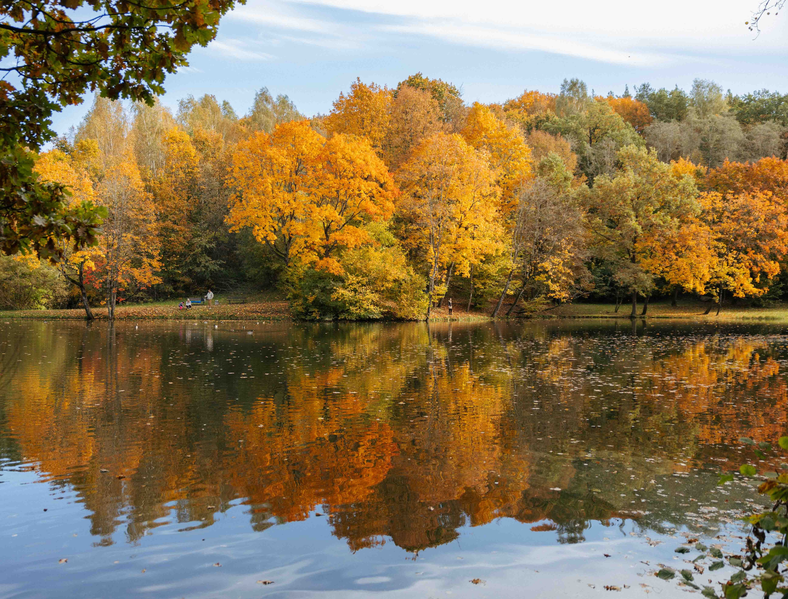 Best Autumn Photoshoot Locations in Vilnius: Top Spots to Capture the Fall Colors. Framed by Evelina | Destination Wedding Photographer from Lithuania | Europe
