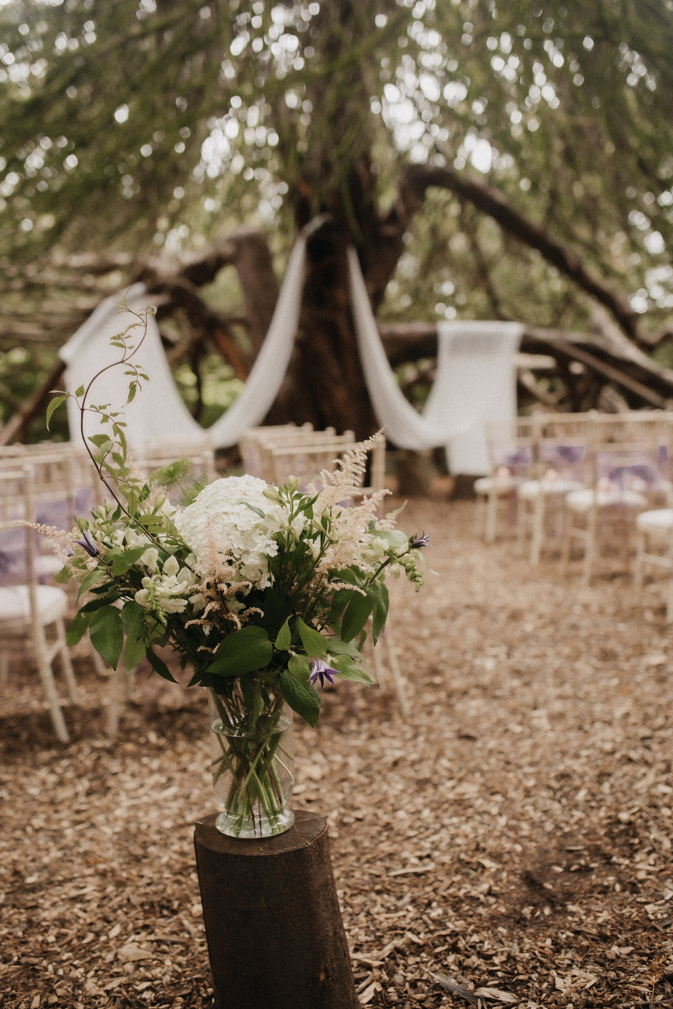 Matthew and Trinh. Wedding and Portrait Photographer Evie Moon