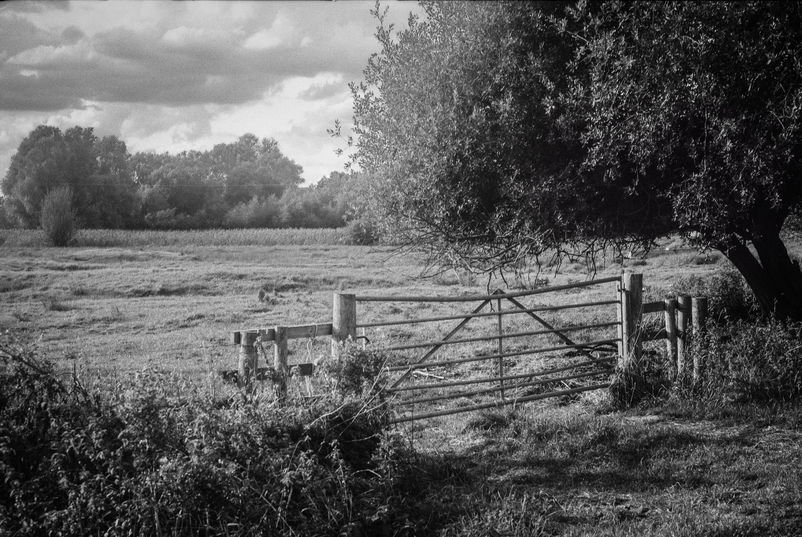 Trying a 1955 Baldalux Folder Camera for Film Photography. Hedley Wright Photography | East Anglia Sport, Street, Wildlife, Landscape & Astrophotography