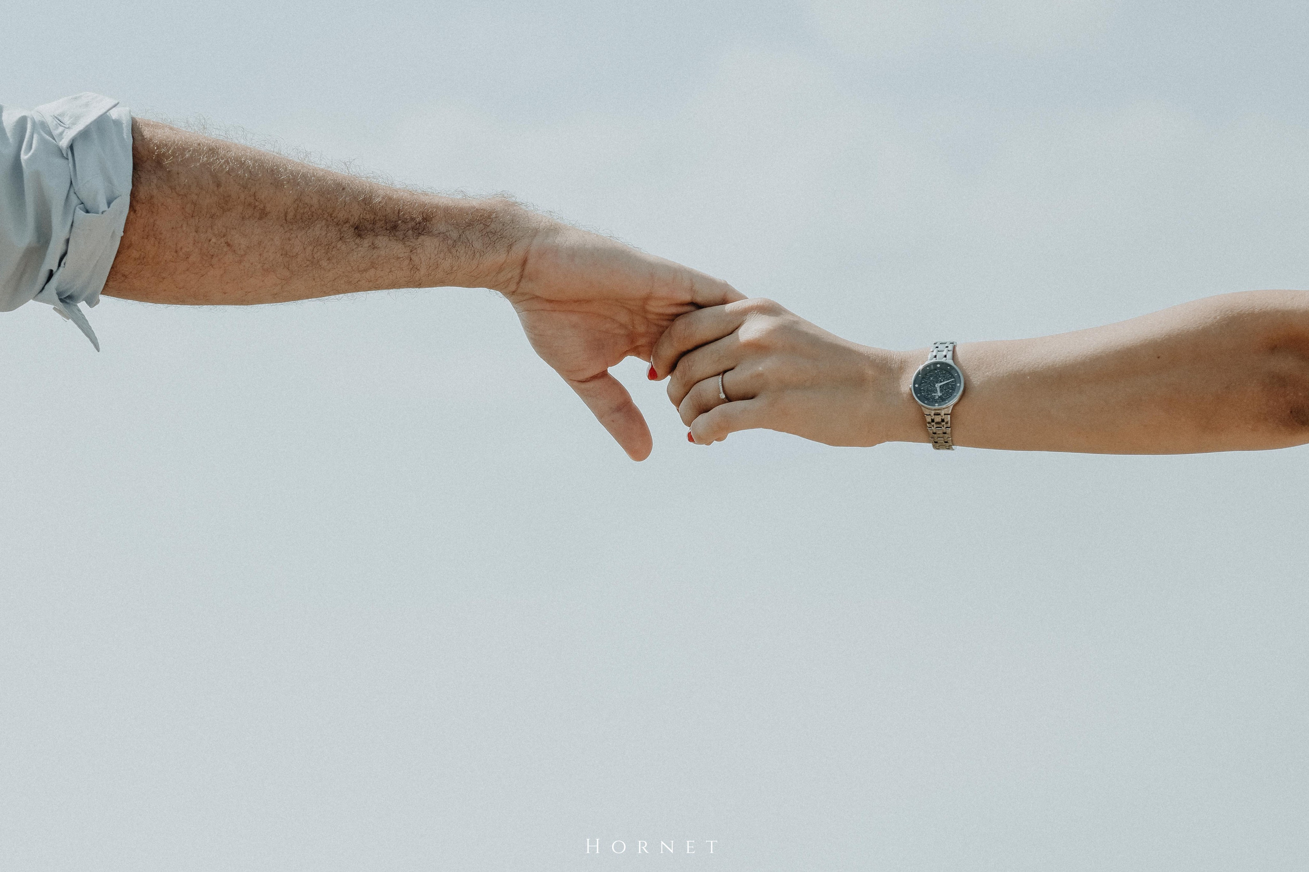 Cris + Ionut. Hornetart