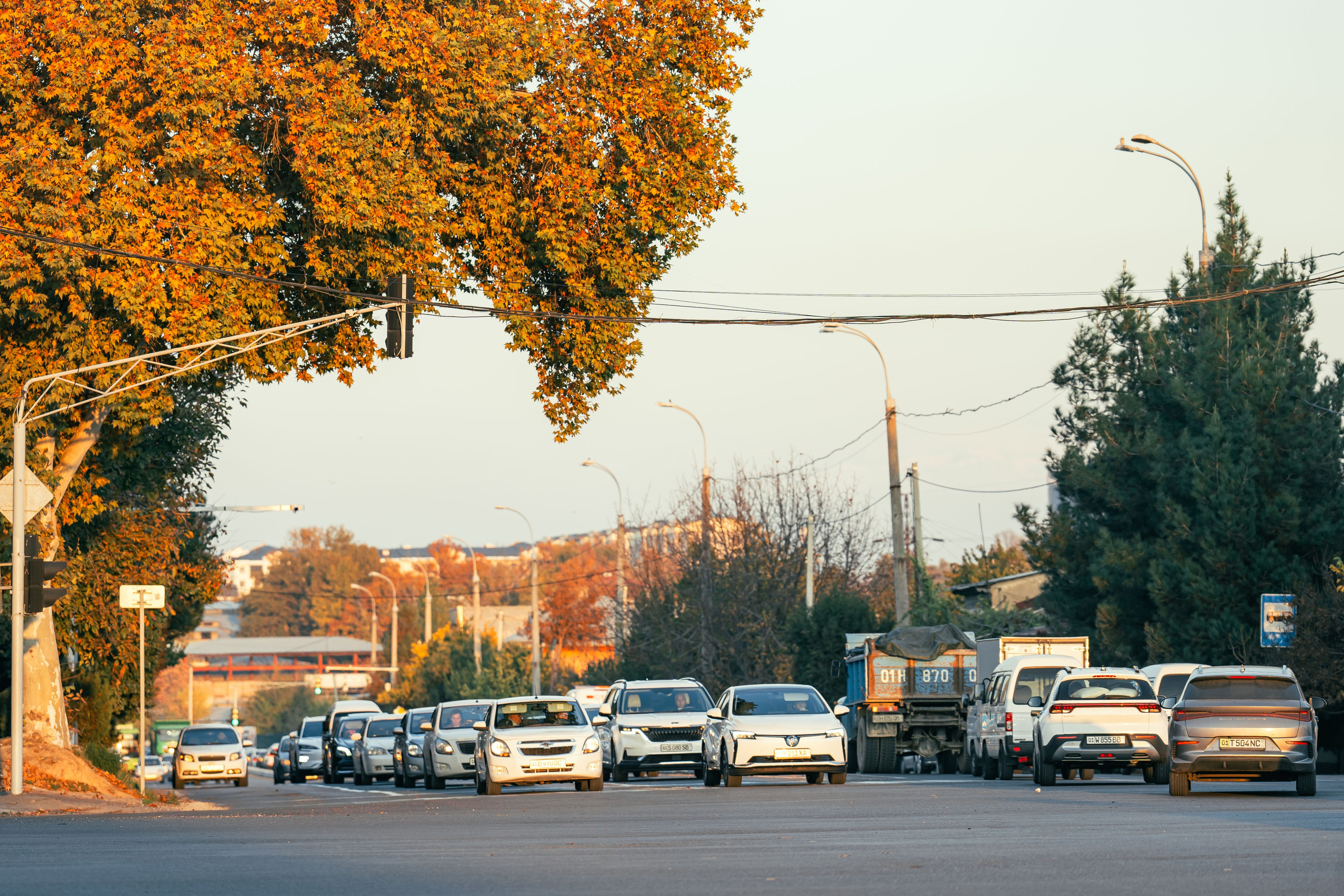 Ташкентская осень. Георгий Намазов | Фотограф в Ташкенте