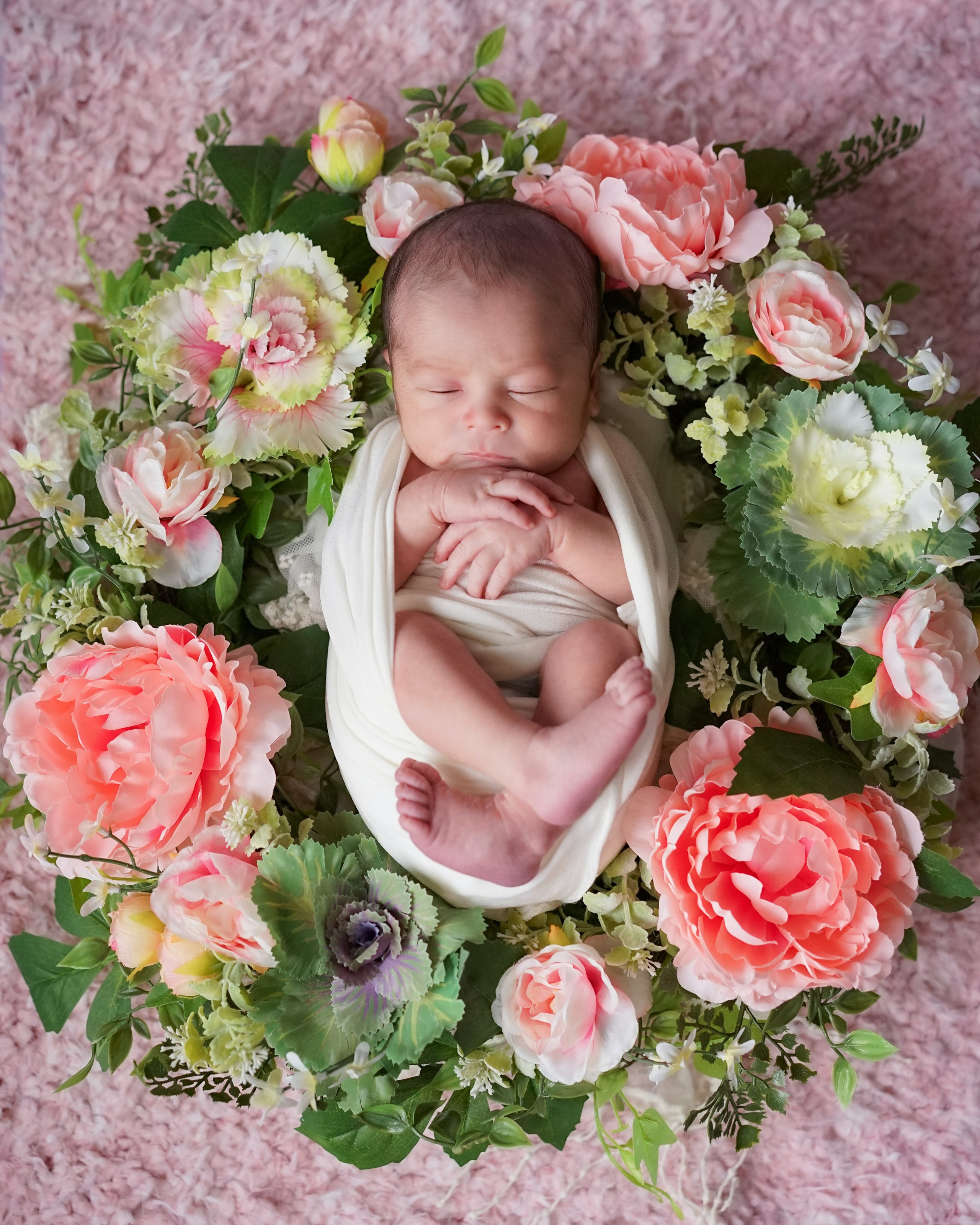 Maternity, family and newborn photography in San Francisco Bay Area