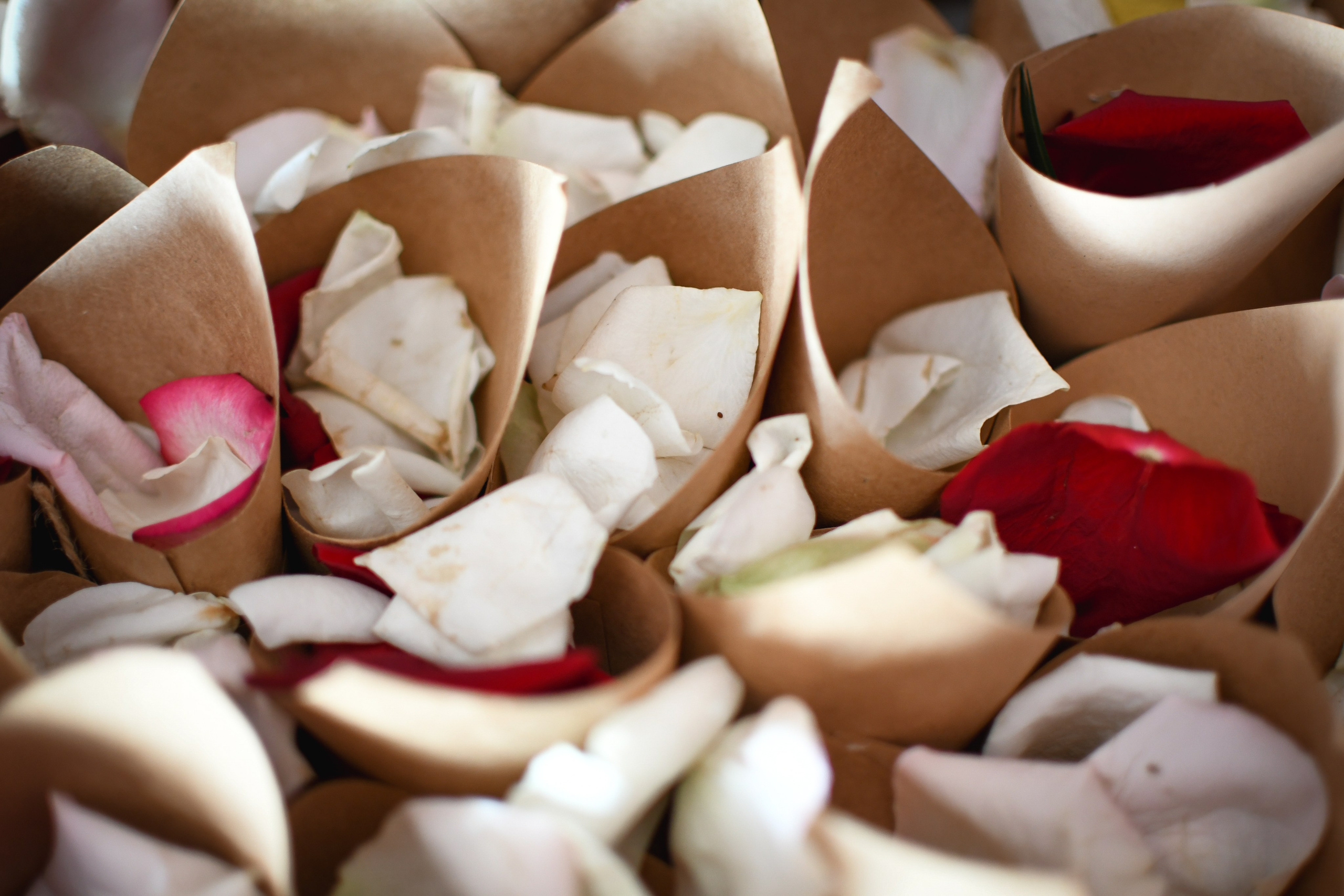 Casamentos. Niaferreiraphotography