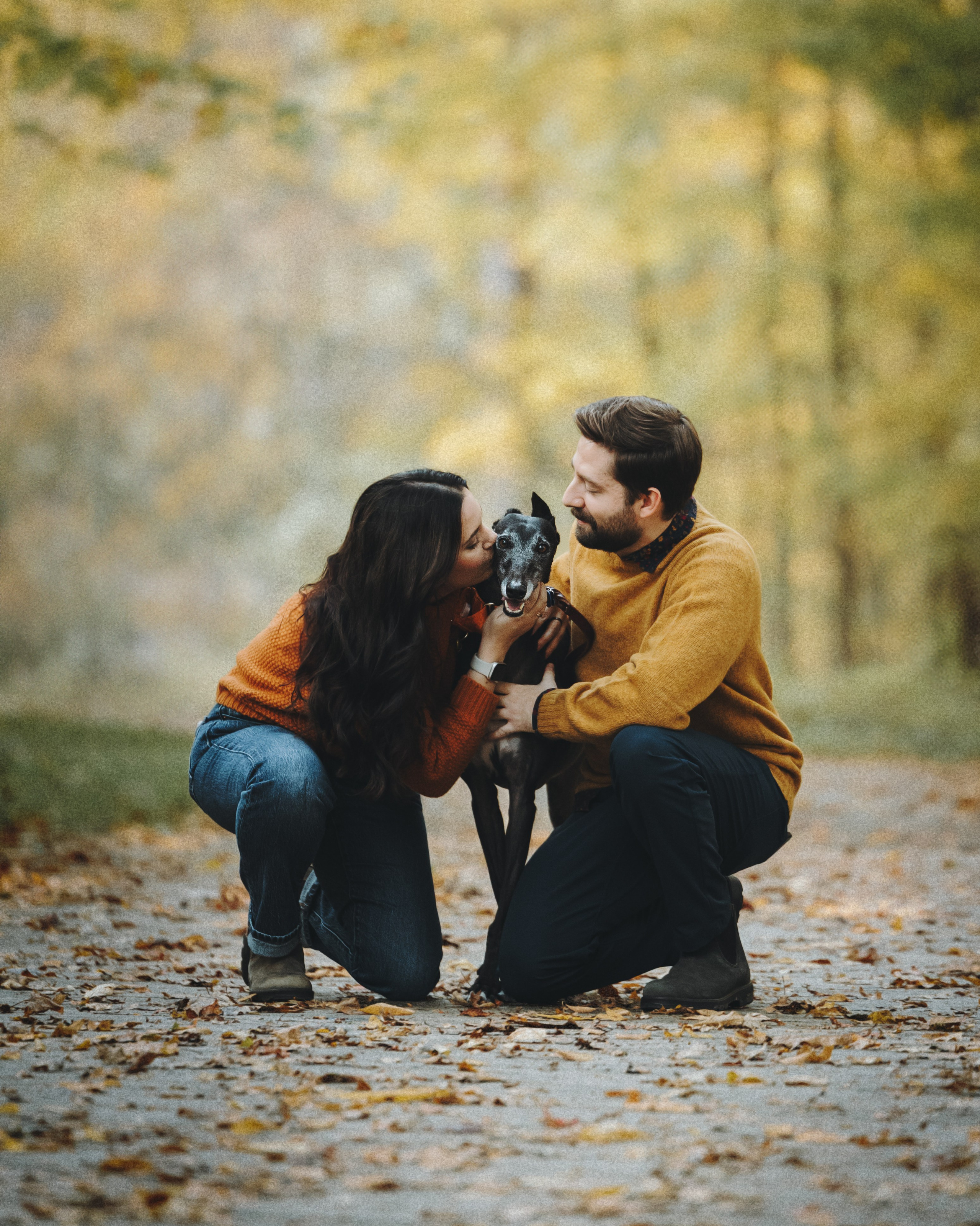 Tilly, Kati & Landon. Pet Photographer Viktoriya Aleshenko