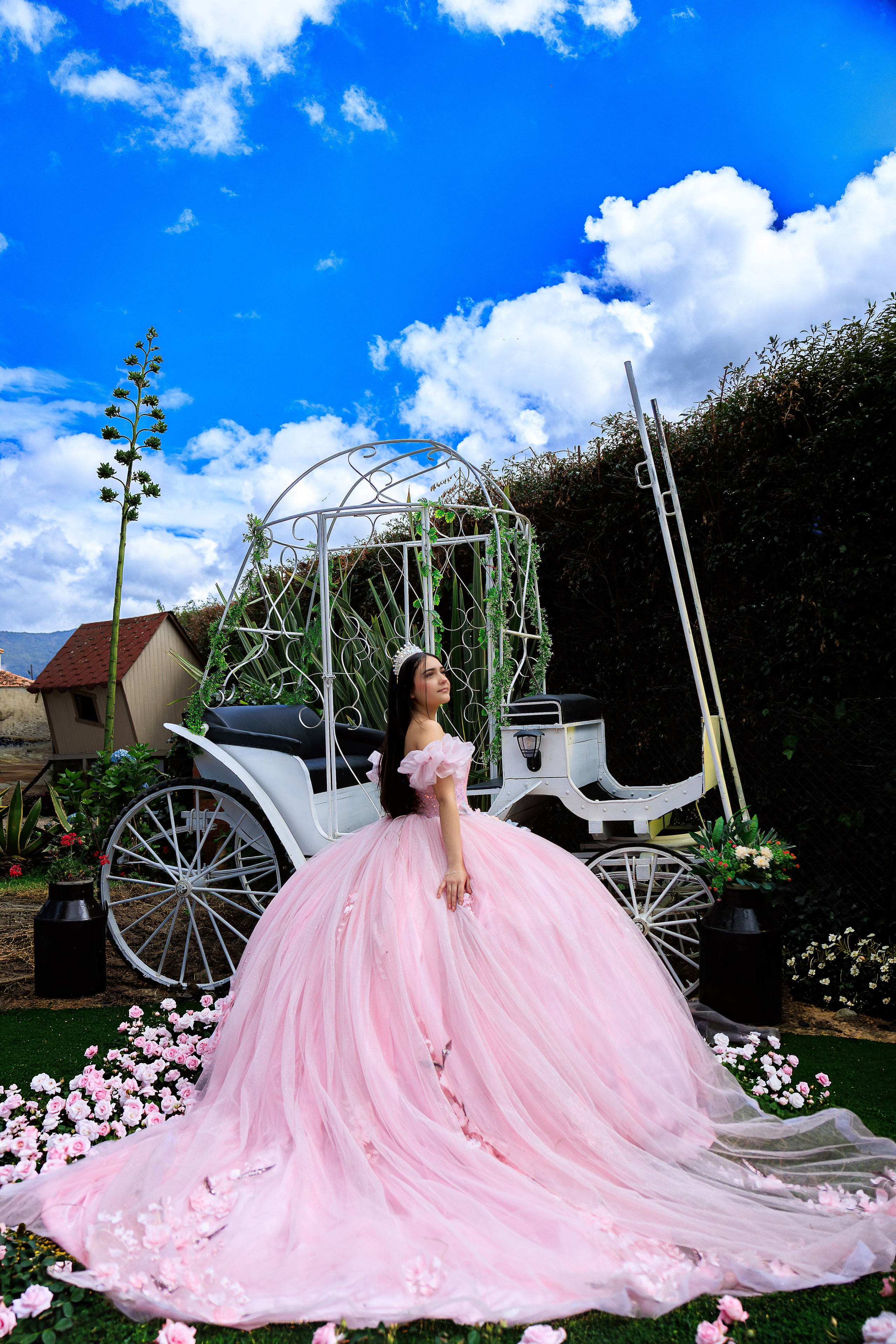 Laura. Harnol Lopez - Fotografia de Quinces & Bodas