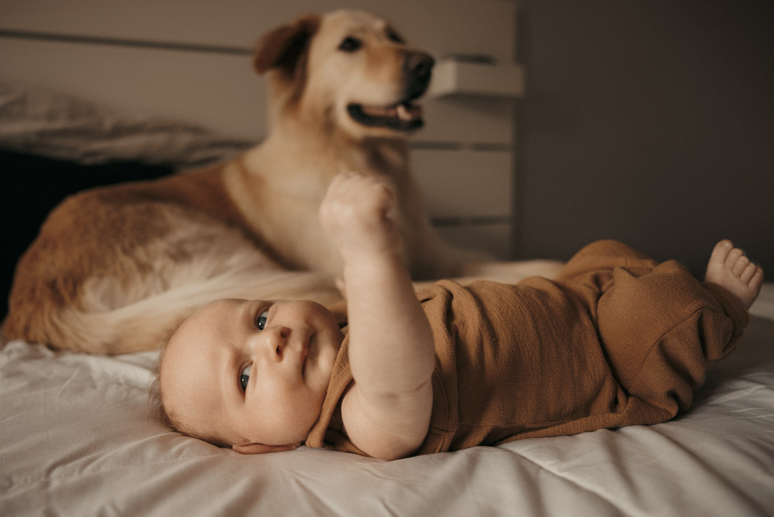 What to Avoid When Choosing Outfits for a Newborn/Family Session