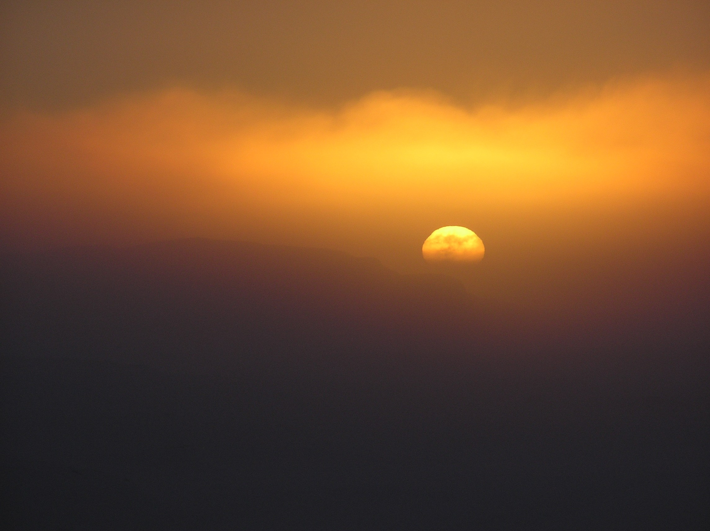 ANTARCTICA. Reportage concert portrait photography in the San Francisco Bay Area