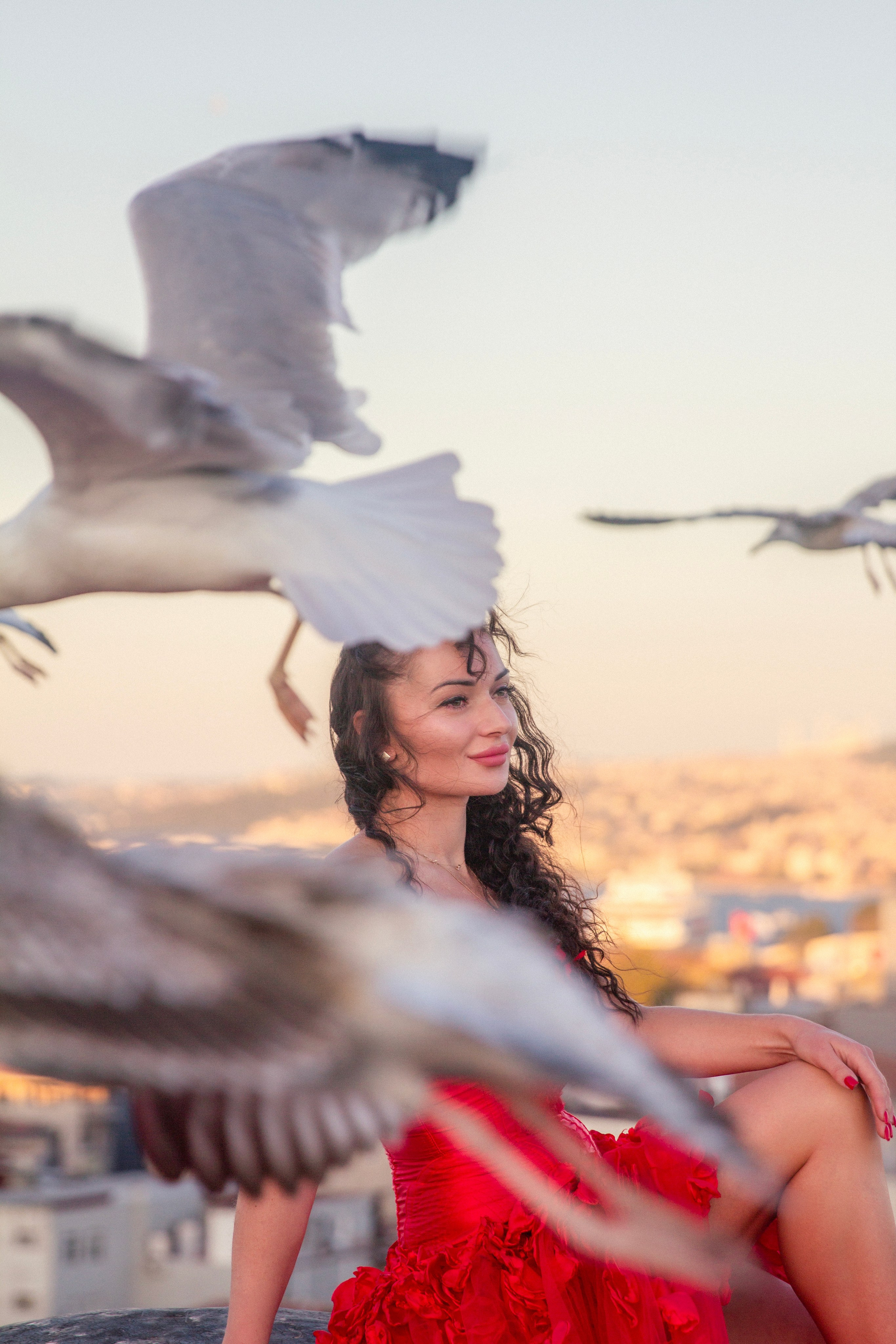 чайки и крыши в стамбуле фотосессия 