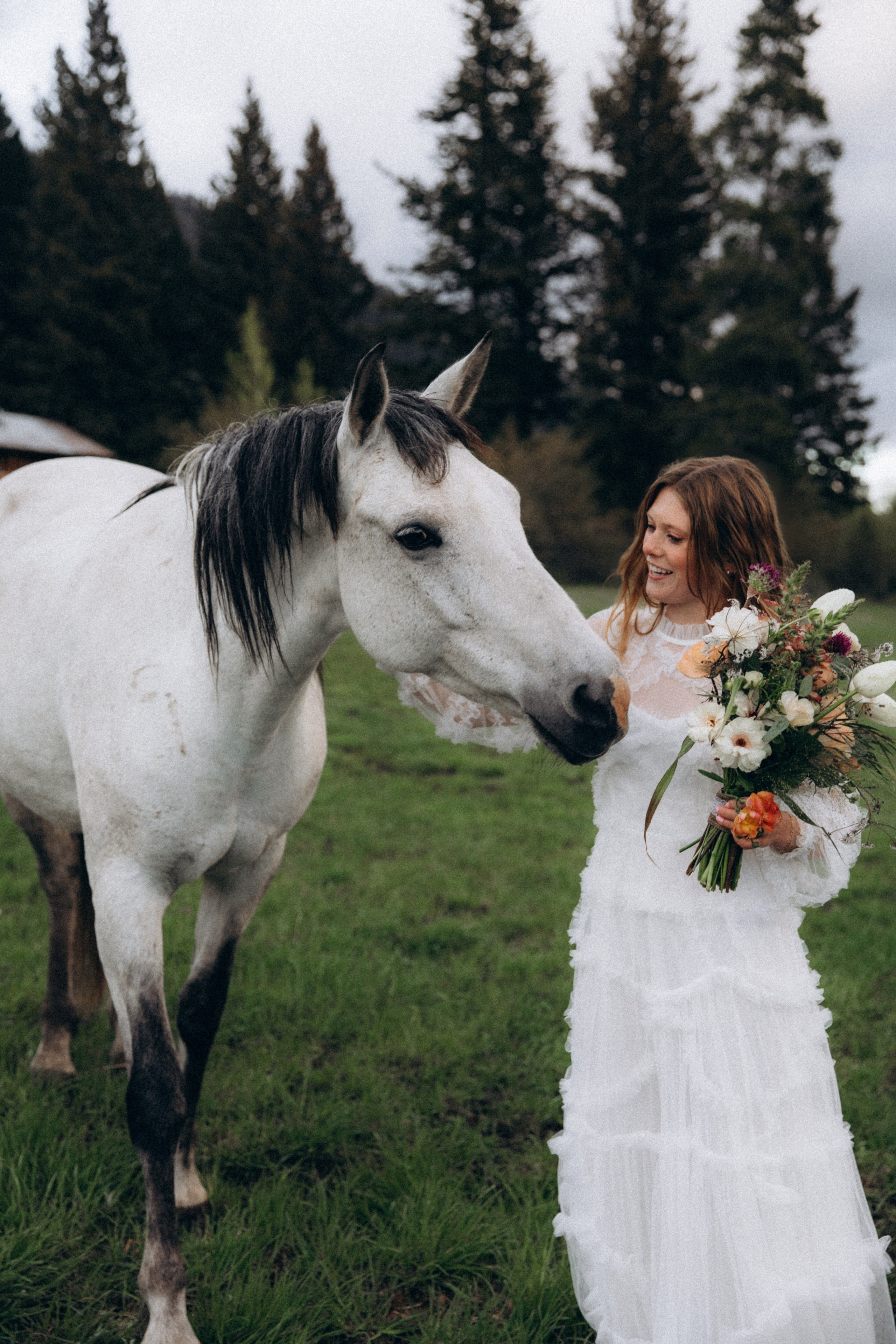 Siena & Aaron | Elopement in Wyoming