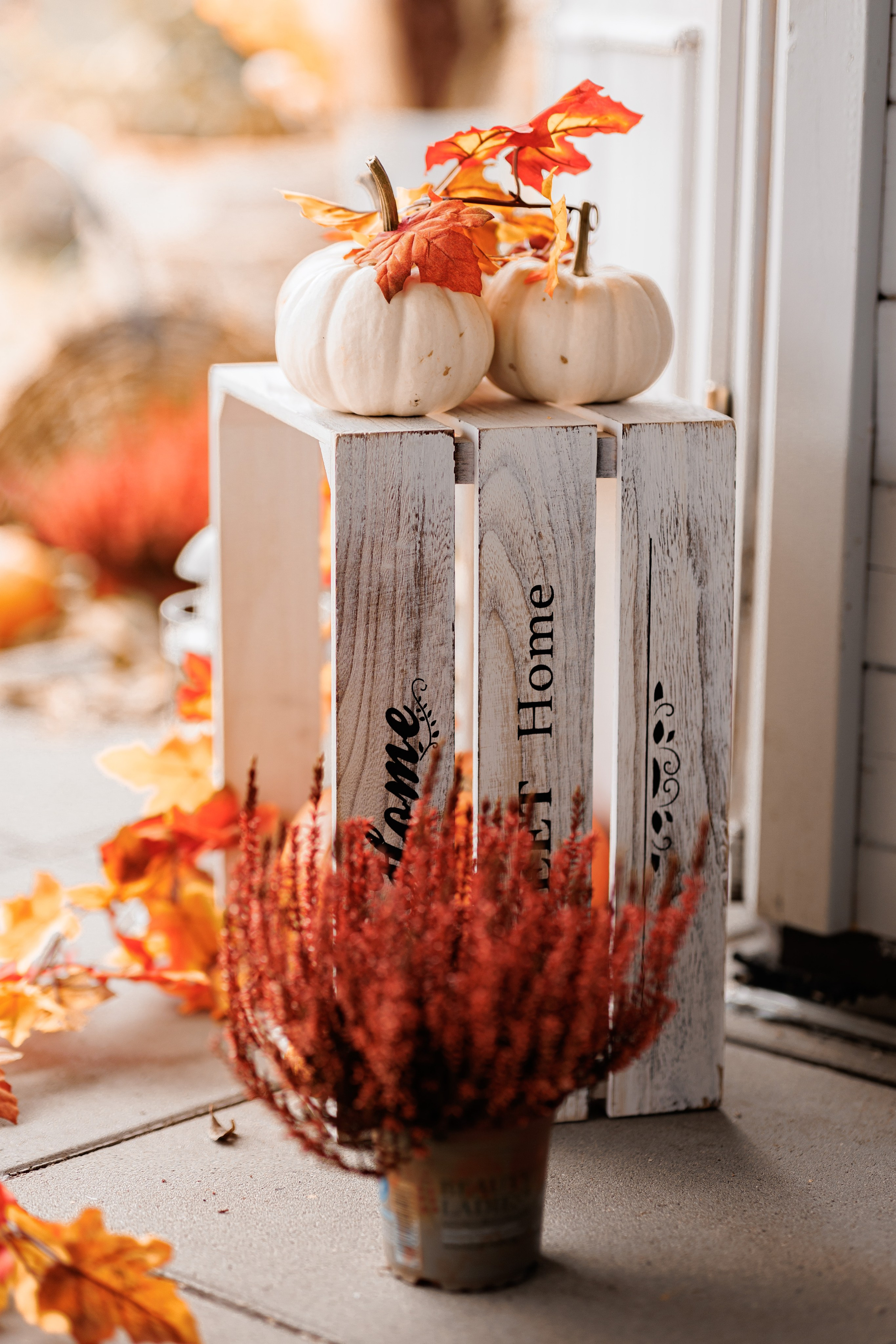 LANDHAUSE. Family Fotografer in München und Umgebung