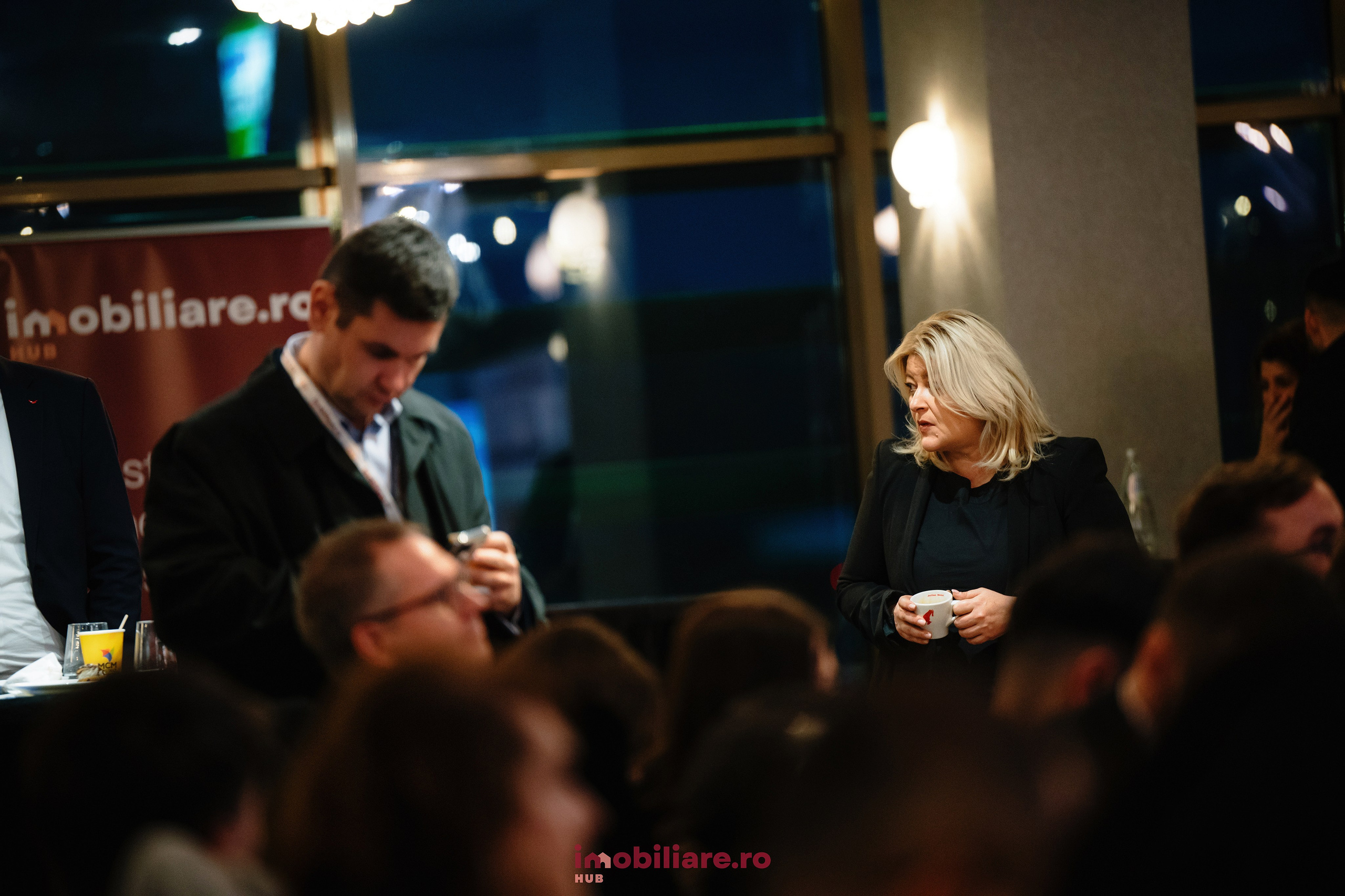 Imobliare HUB. Laurentiu Stefan StoryTeller