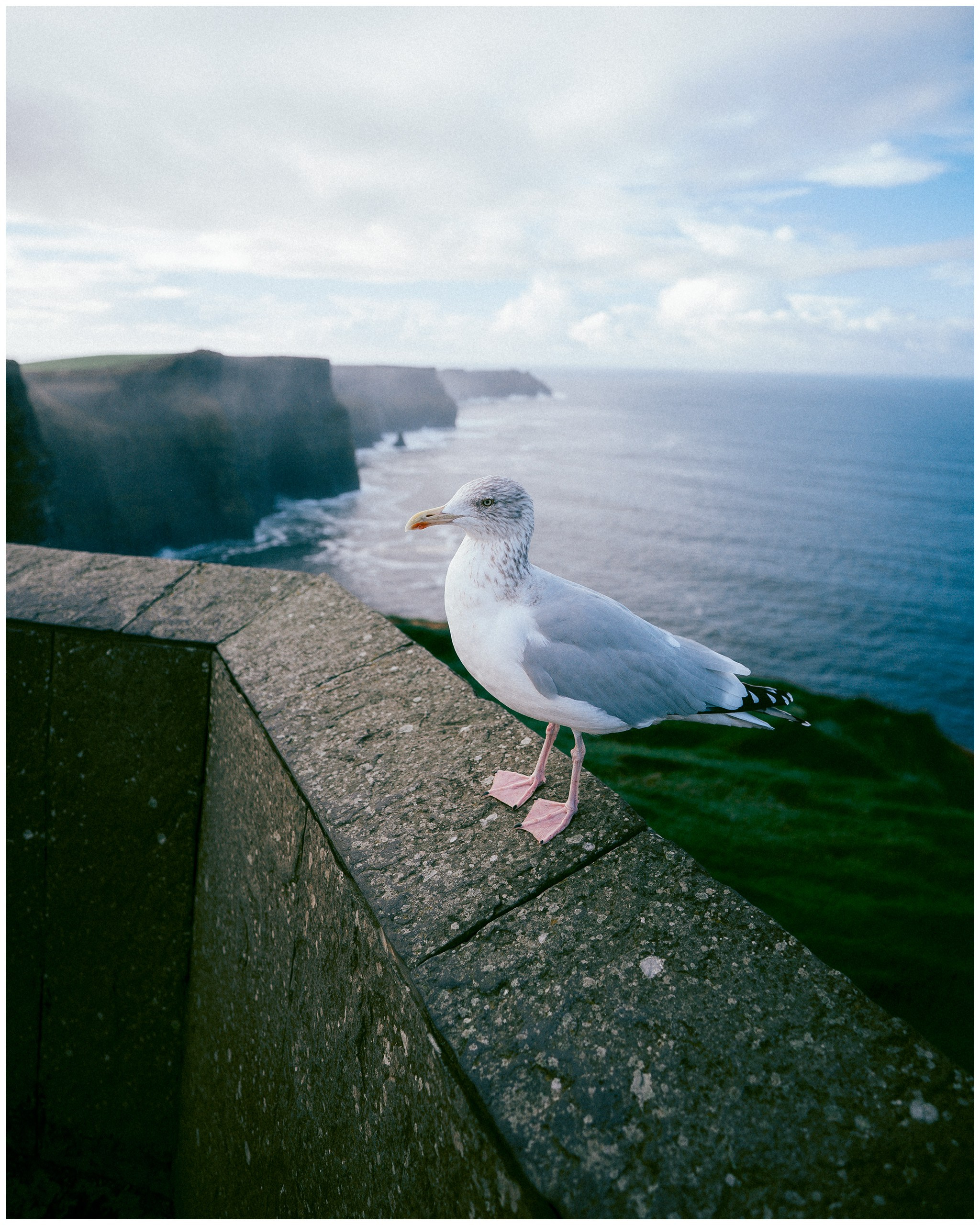IRELAND. Inna Mendelson — Photographer