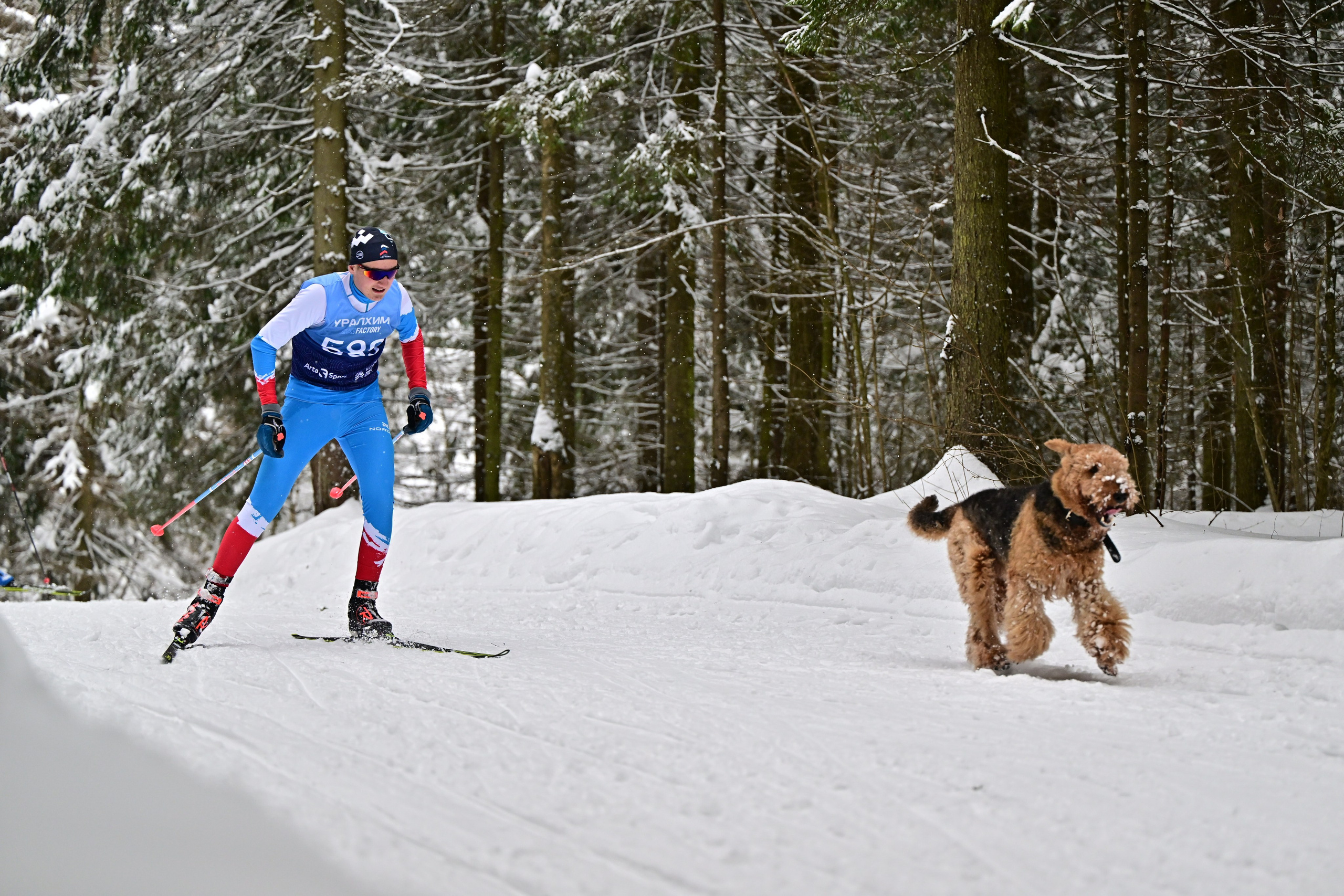 Спорт. Фотографы Дарья и Дмитрий Арсентьевы