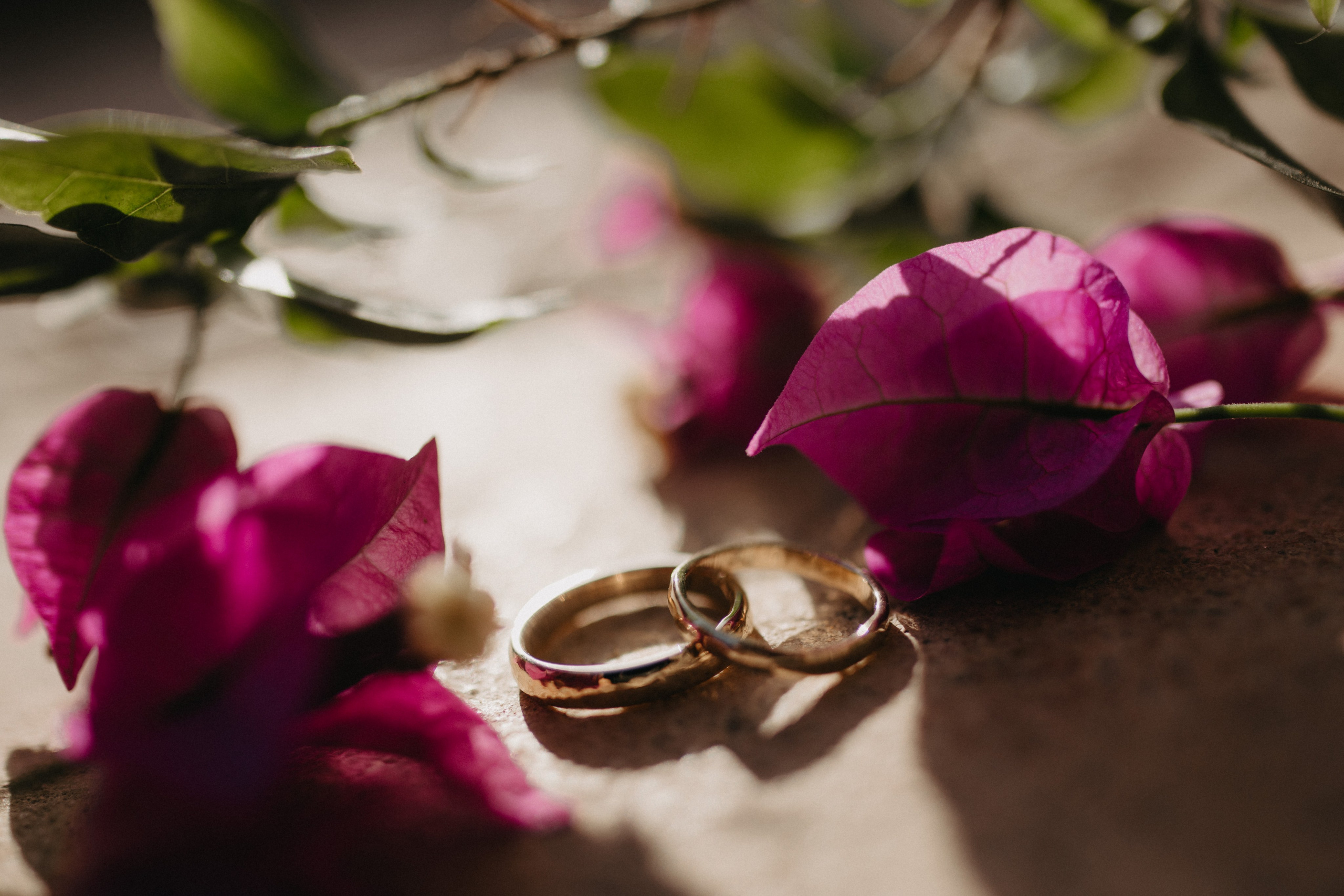 Yonatan & Lior. Home