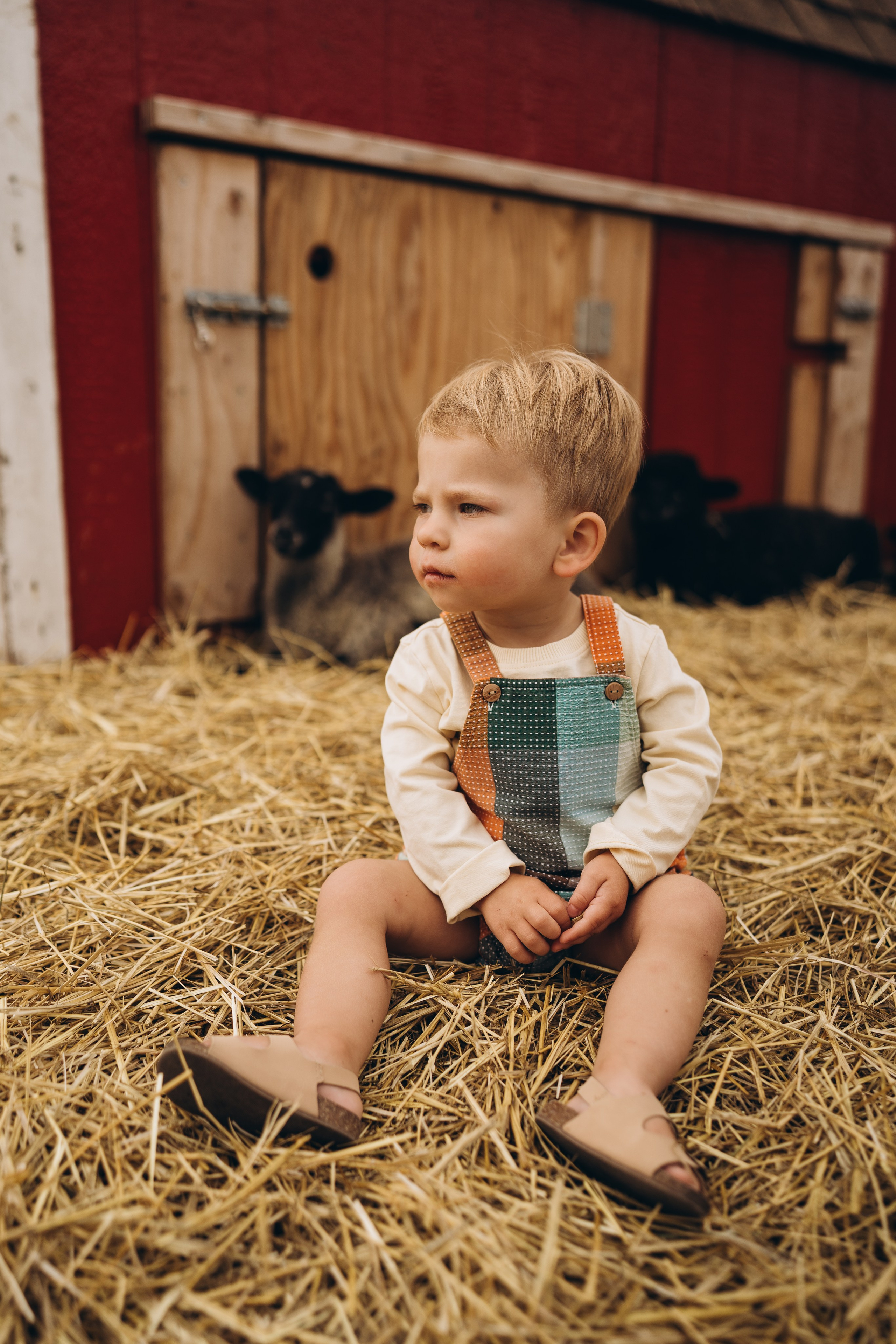 Lev. Calgary Wedding & Lifestyle Photographer — Yevhen Polishchuk