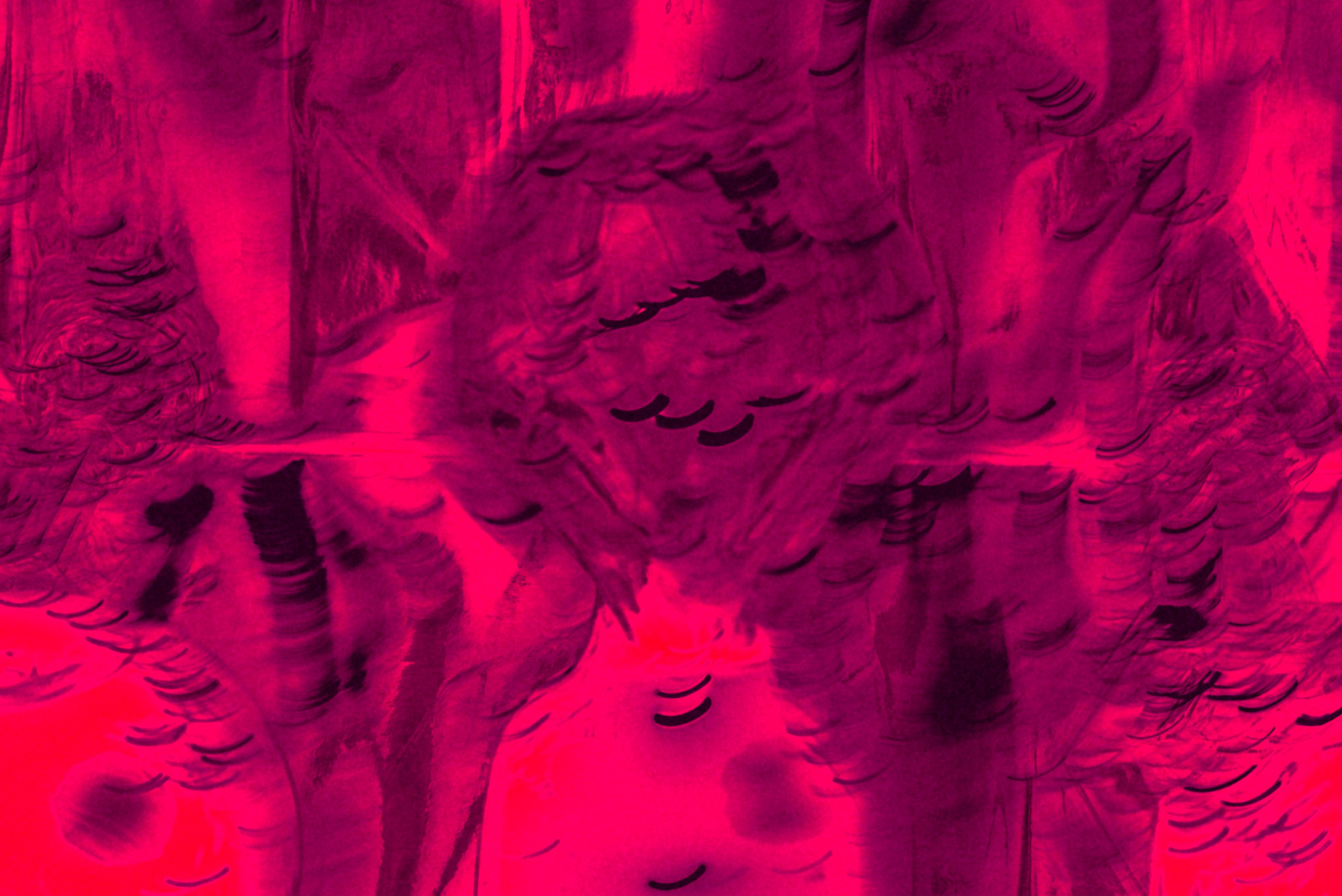 Still life. Ekaterina Tsurkina-Appina Photography Canada