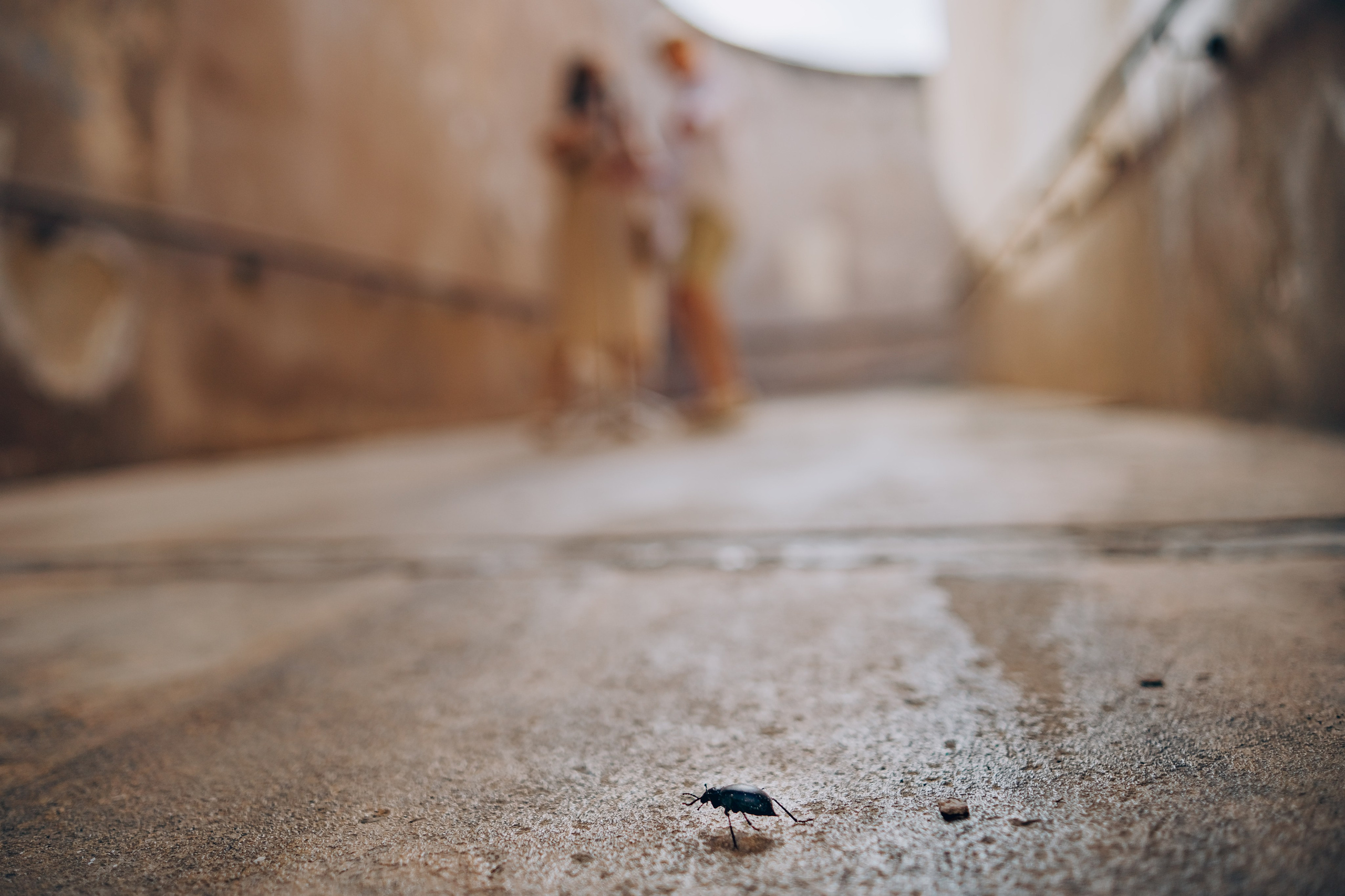 Love story of Iryna and Julia. Photographer in Mallorca