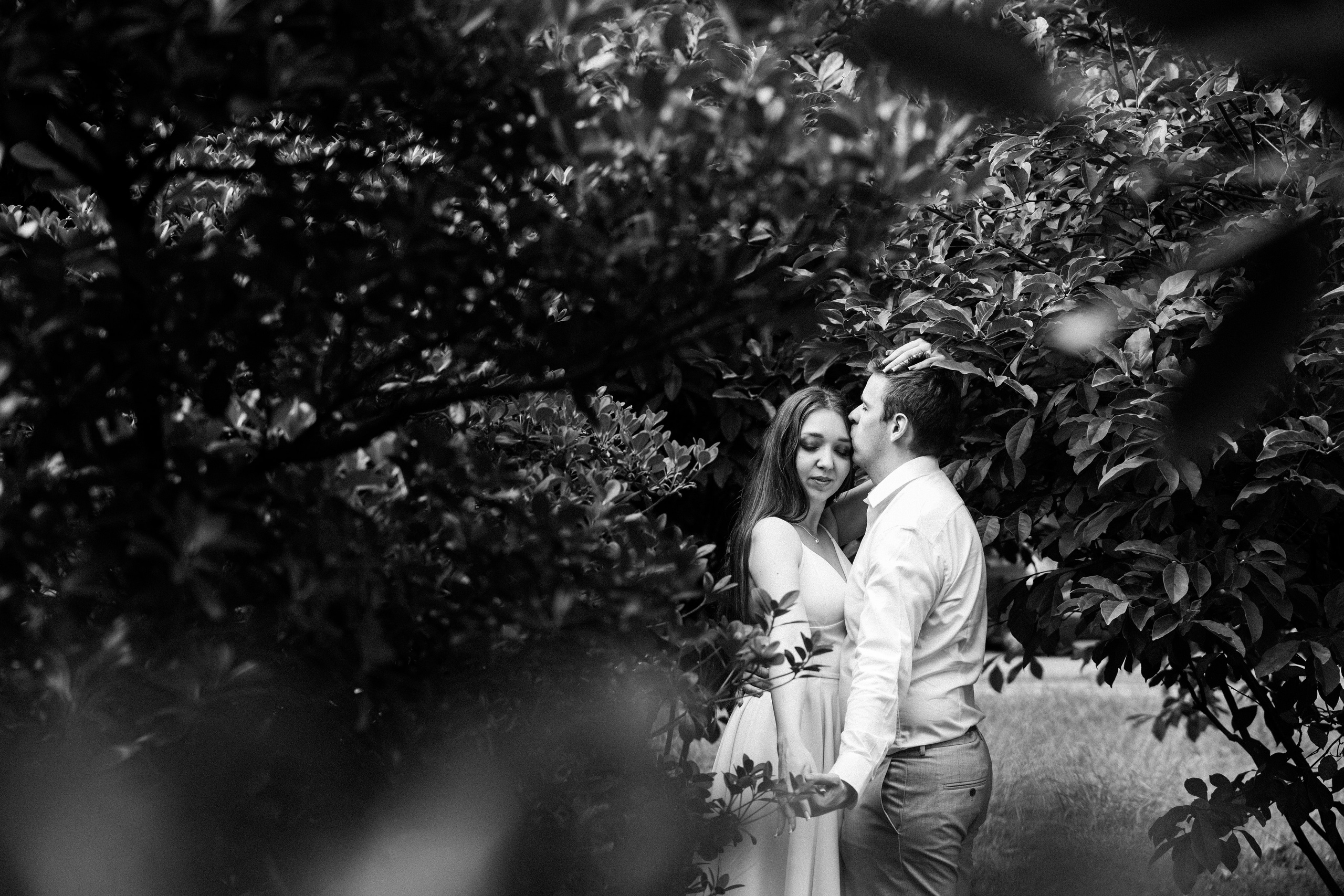 Wedding. Ekaterina Verbitskaya. Photography