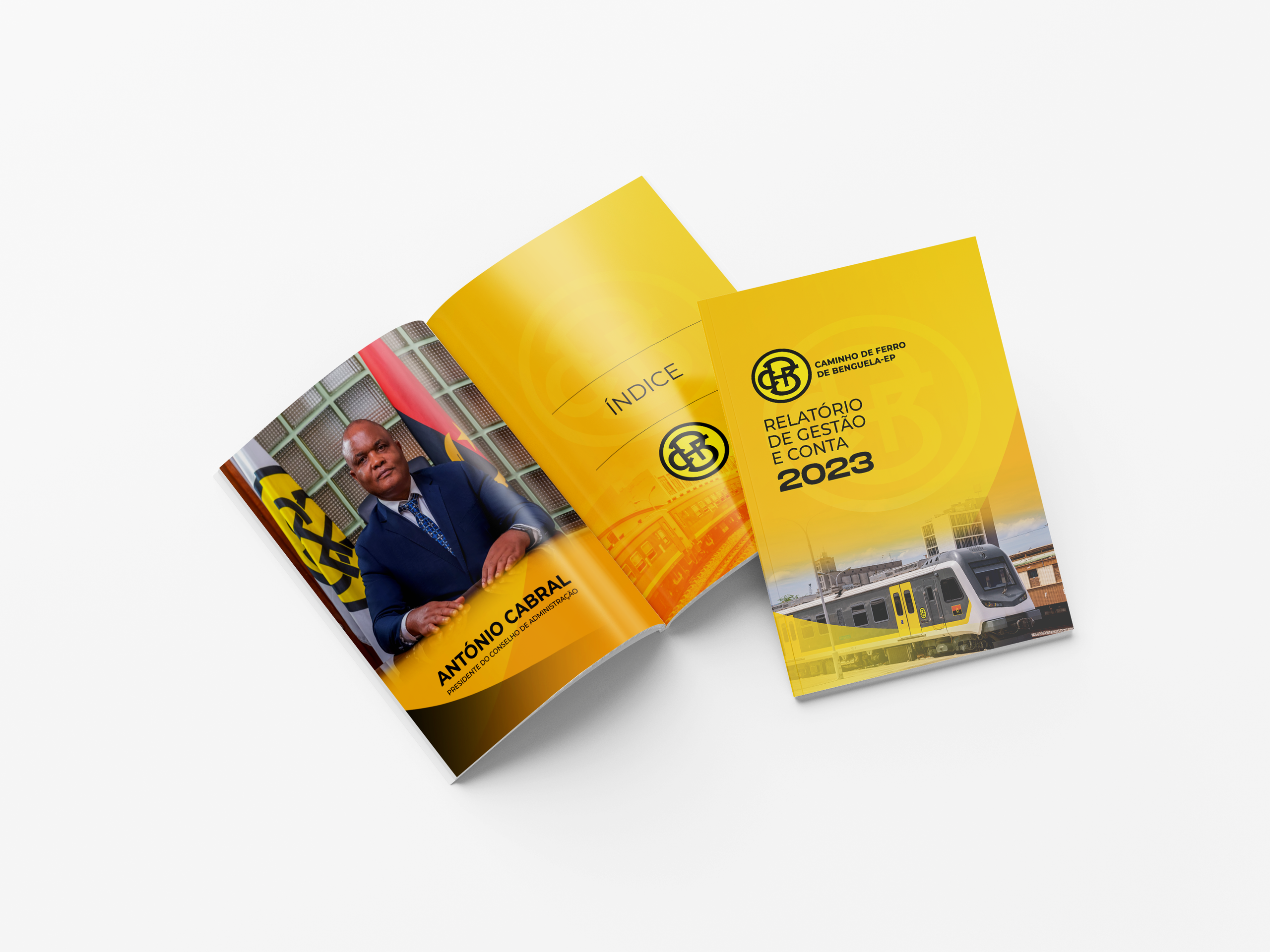 Relatório de Gestão e Contas — CFB